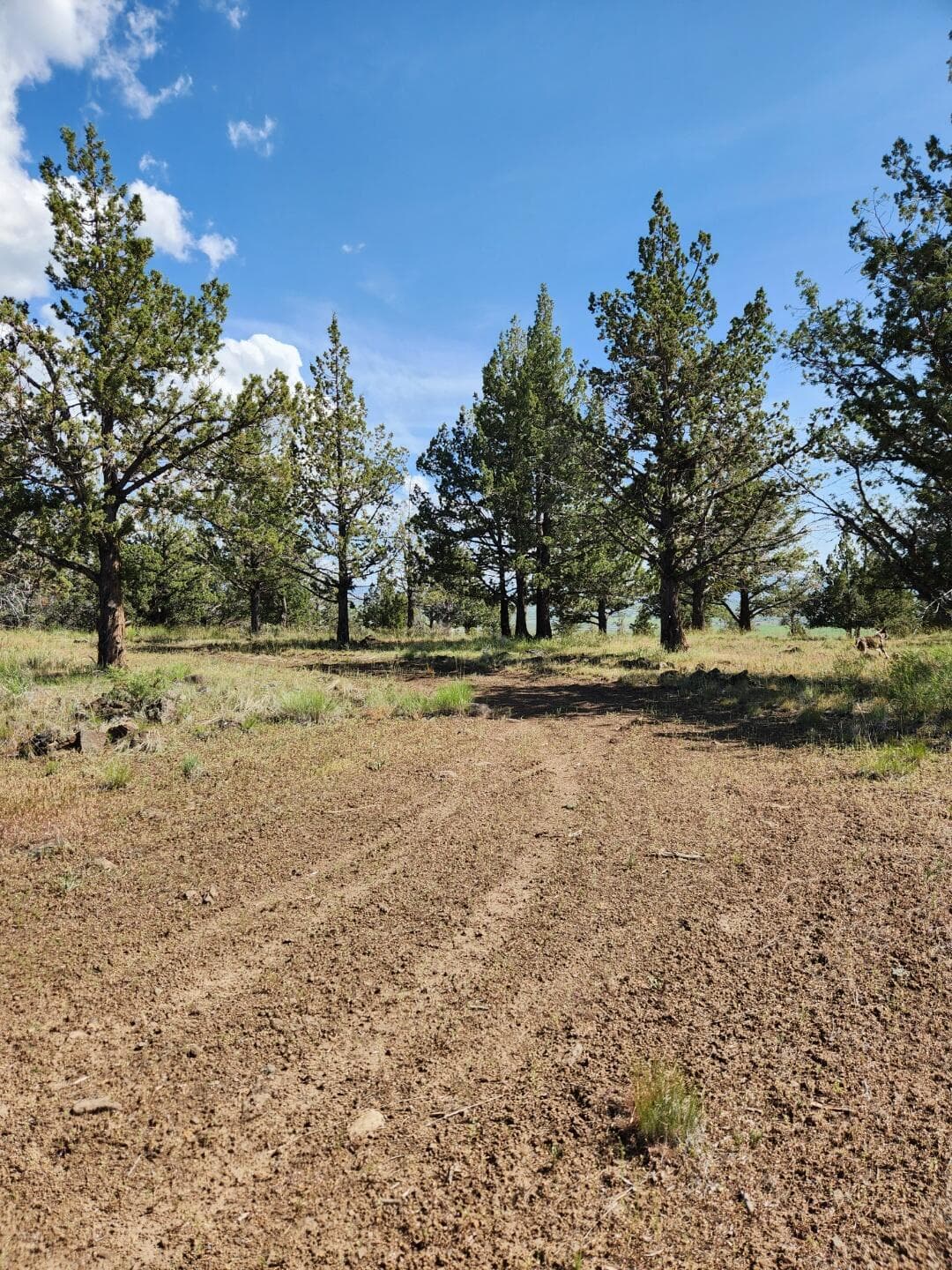 Lot. Photo 4 of 5, Hummingbird Lane Unit Lot 5, Alturas, CA 96101