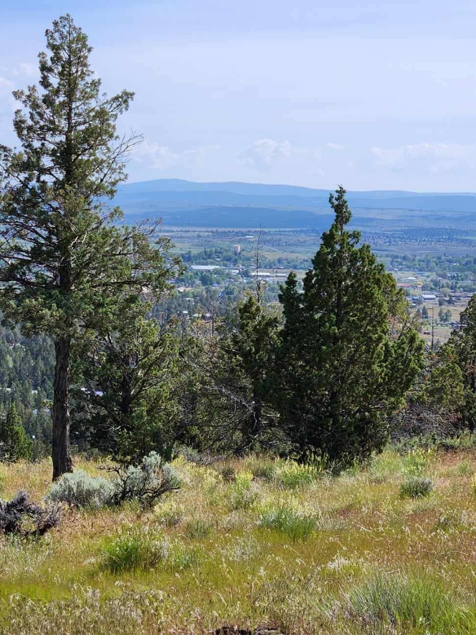 Lot. Photo 2 of 5, Hummingbird Lane Unit Lot 5, Alturas, CA 96101