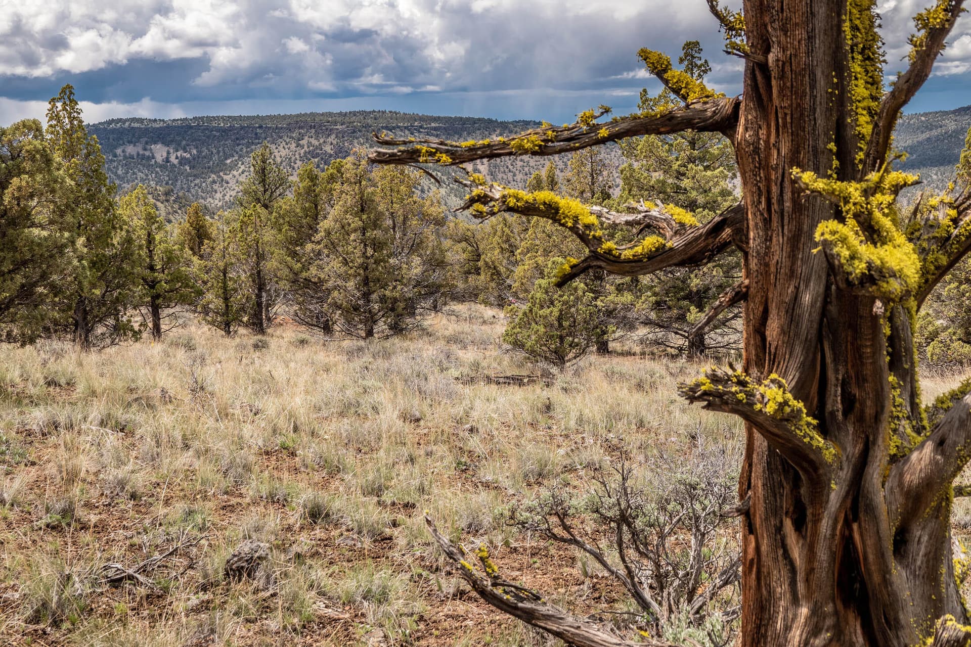 Lot39Image3. Photo 4 of 16, SE Pavati Drive Unit Lot 39, Prineville, OR 97754