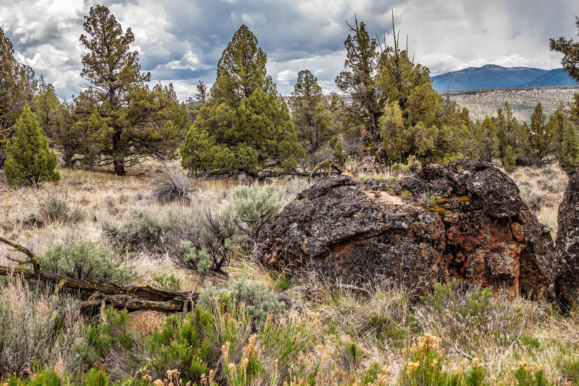 Lot39Image5. Photo 5 of 16, SE Pavati Drive Unit Lot 39, Prineville, OR 97754