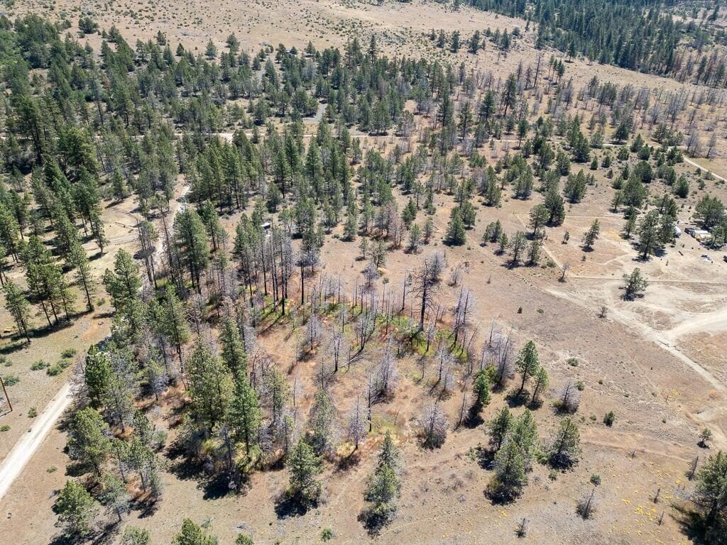 -2. Photo 3 of 10, Panther Lane, Bonanza, OR 97623