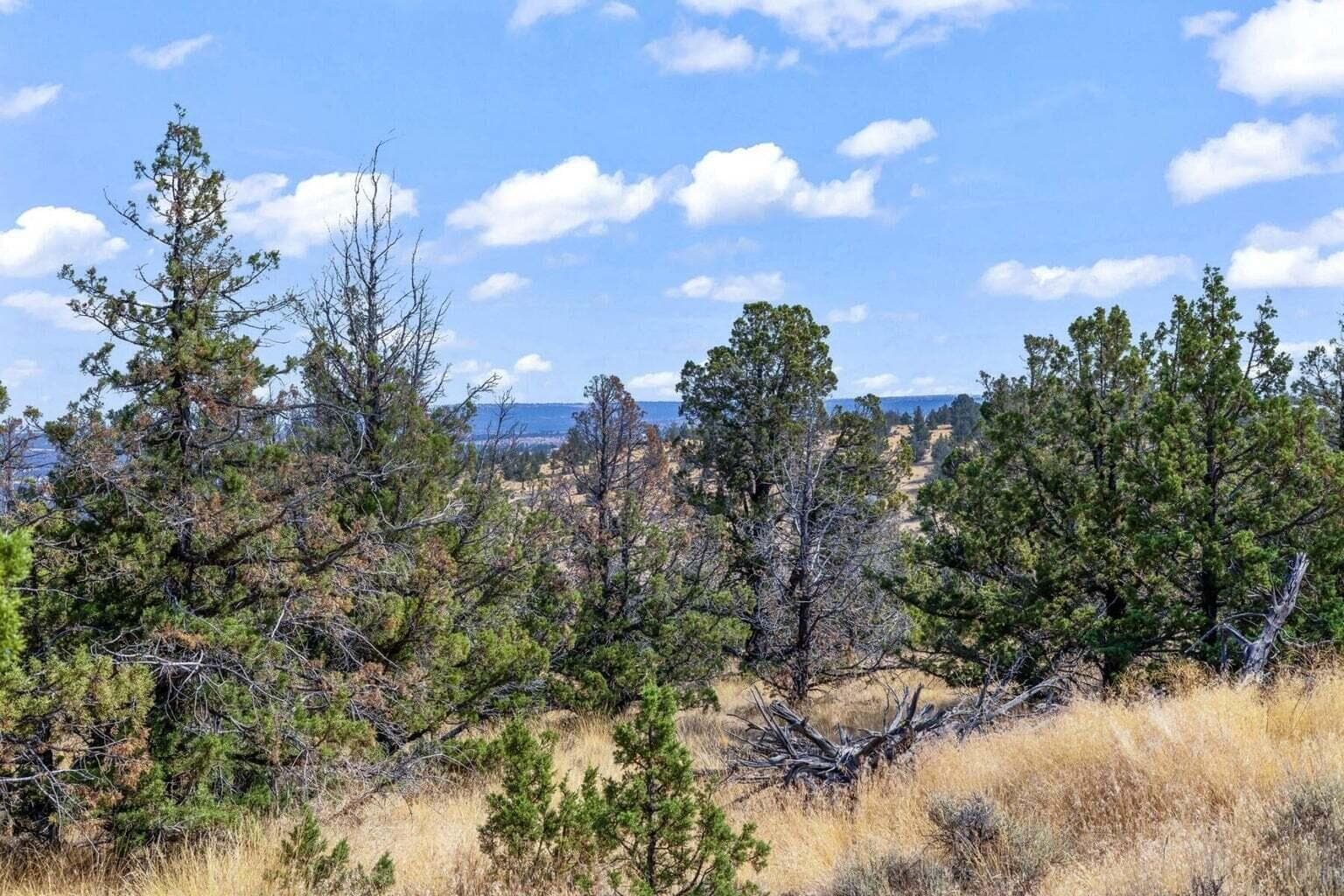 win2. Photo 2 of 10, 15875 SE Winchester Loop, Prineville, OR 97754