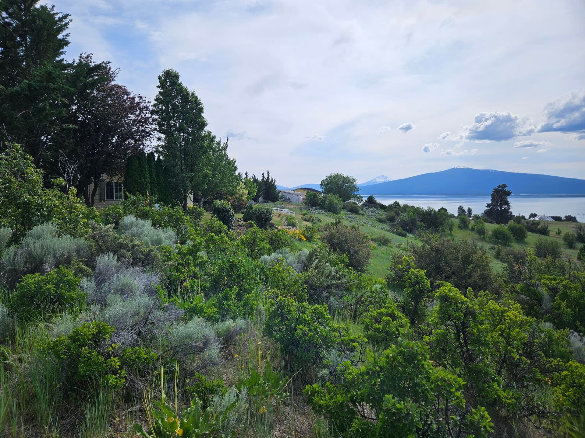 20250615_163210. Photo 2 of 15, 0 Pleasant View Road Unit Lot 37, Chiloquin, OR 97624
