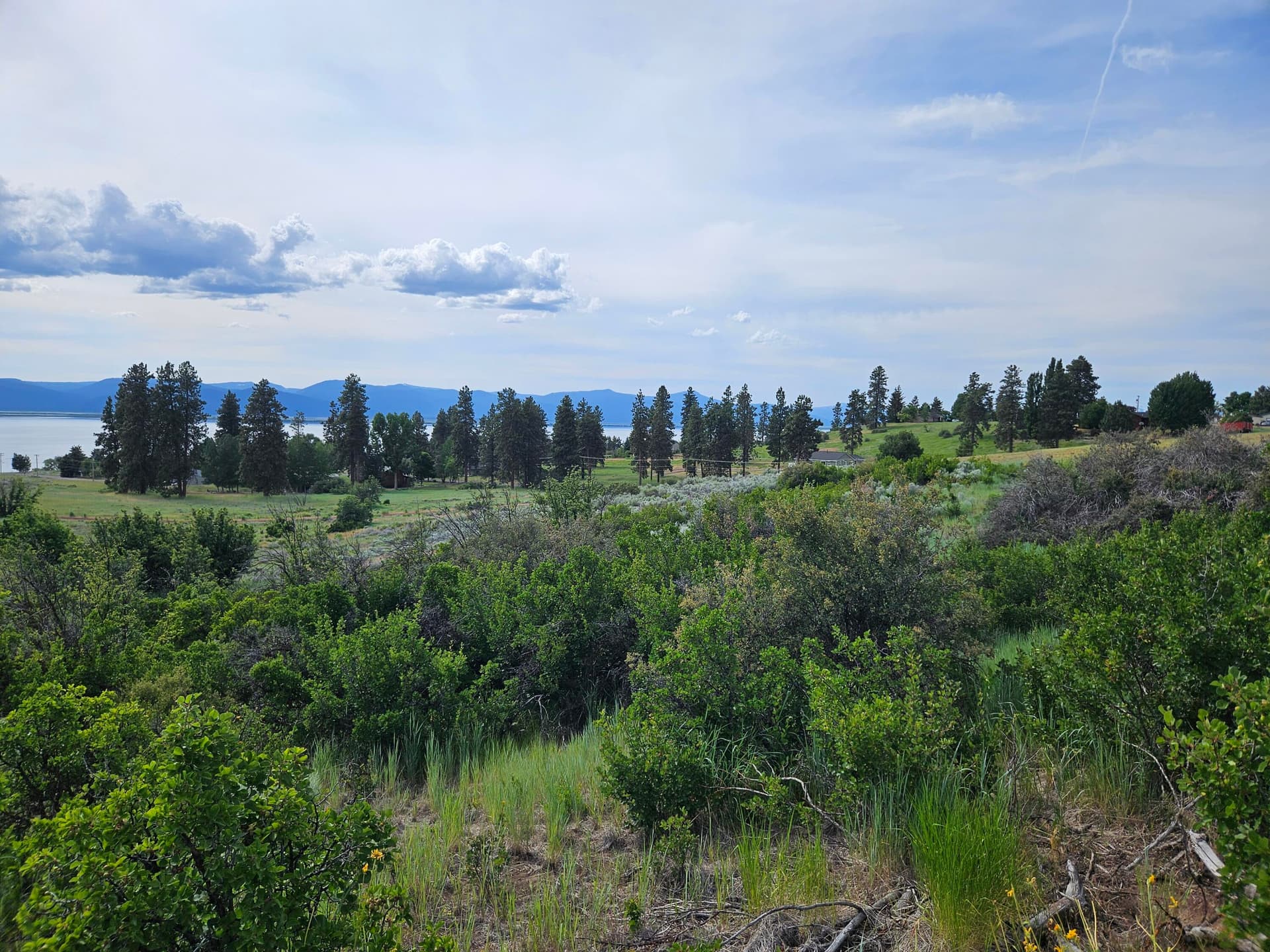 20250615_163214. Photo 3 of 15, 0 Pleasant View Road Unit Lot 37, Chiloquin, OR 97624