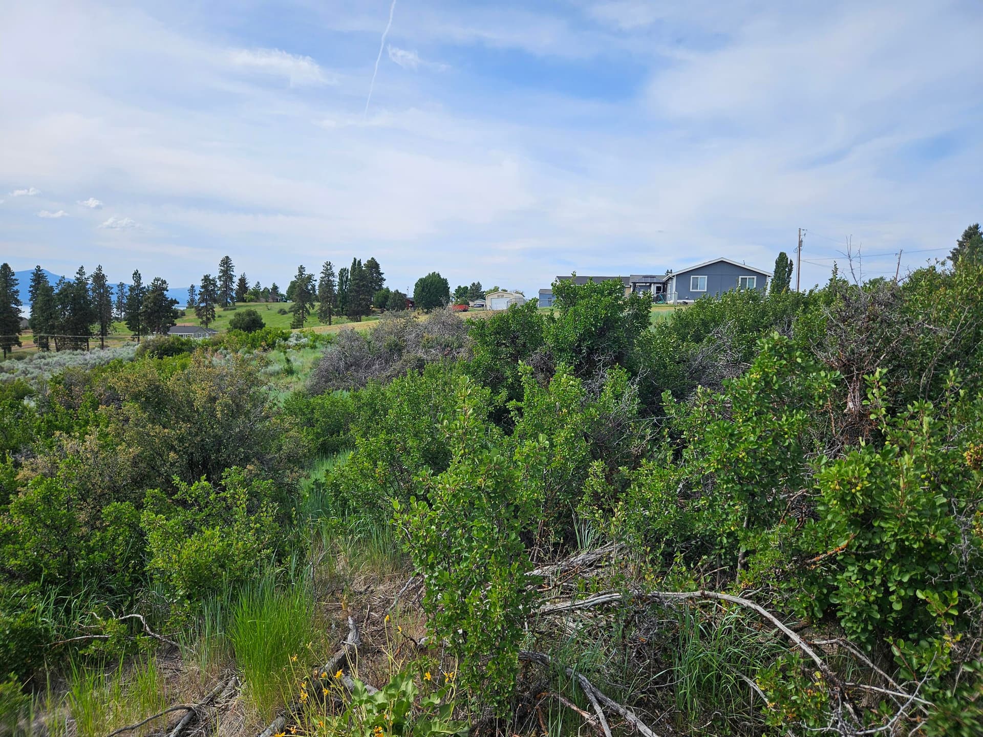 20250615_163216. Photo 4 of 15, 0 Pleasant View Road Unit Lot 37, Chiloquin, OR 97624