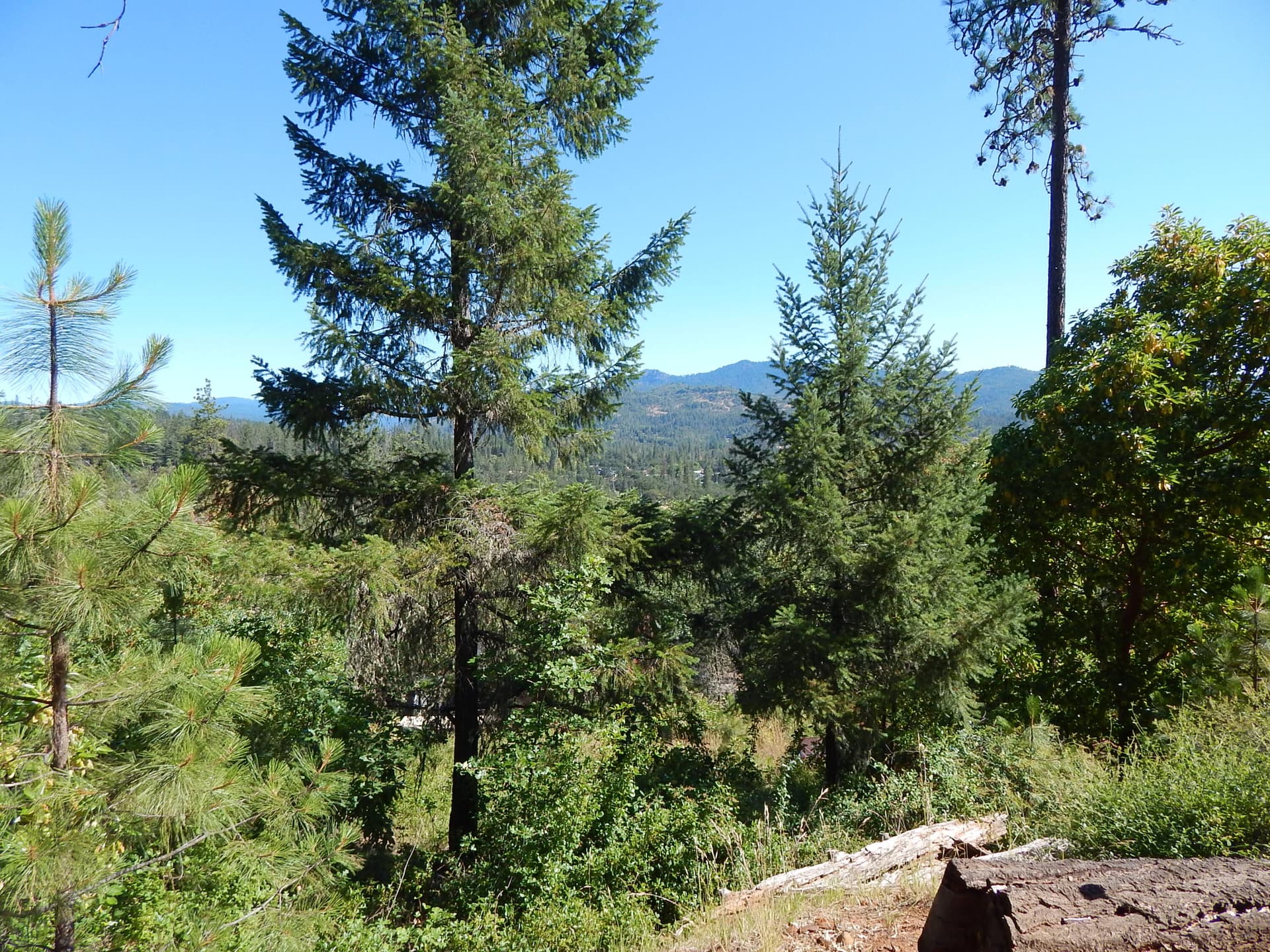 DSCN6021. Photo 1 of 3, 635 Sarma Drive, Shady Cove, OR 97539