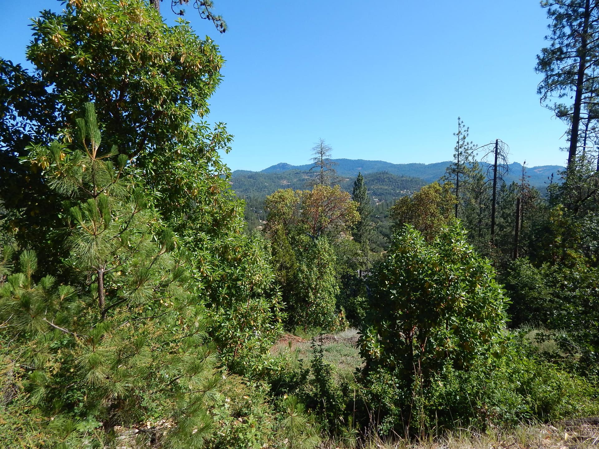 DSCN6022. Photo 2 of 3, 635 Sarma Drive, Shady Cove, OR 97539