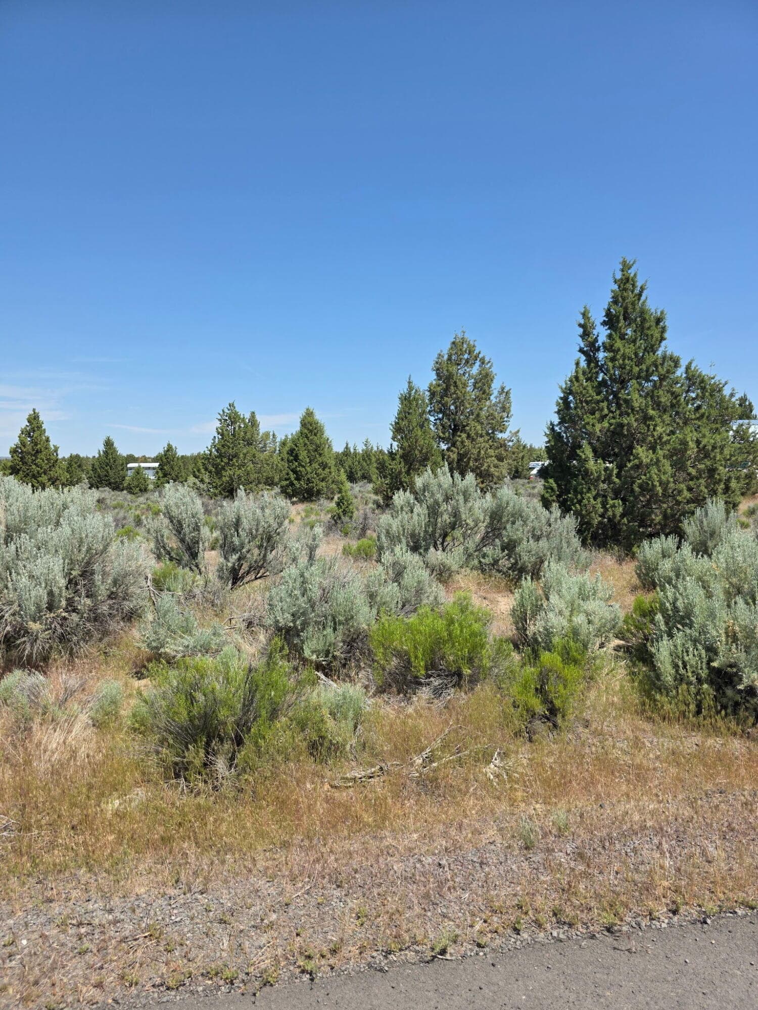 110790727024821521. Photo 4 of 5, 3449 SE Teton Road Unit Lot 11, Prineville, OR 97754