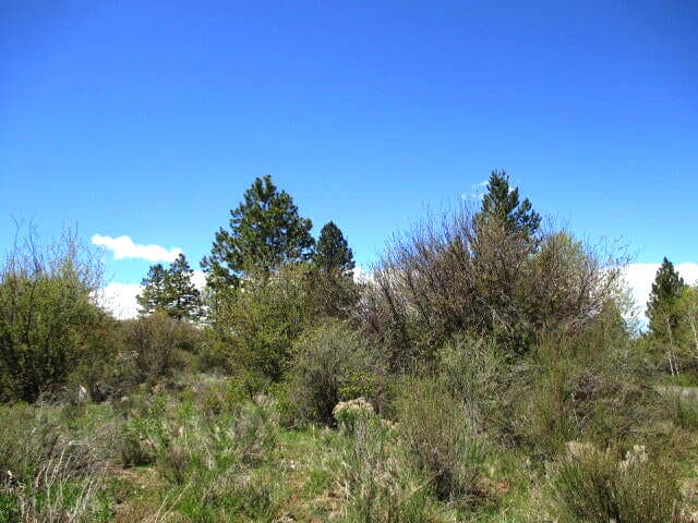 20220524174222631042000000-o. Photo 4 of 8, 0 Forest View Drive Unit 8, Chiloquin, OR 97624