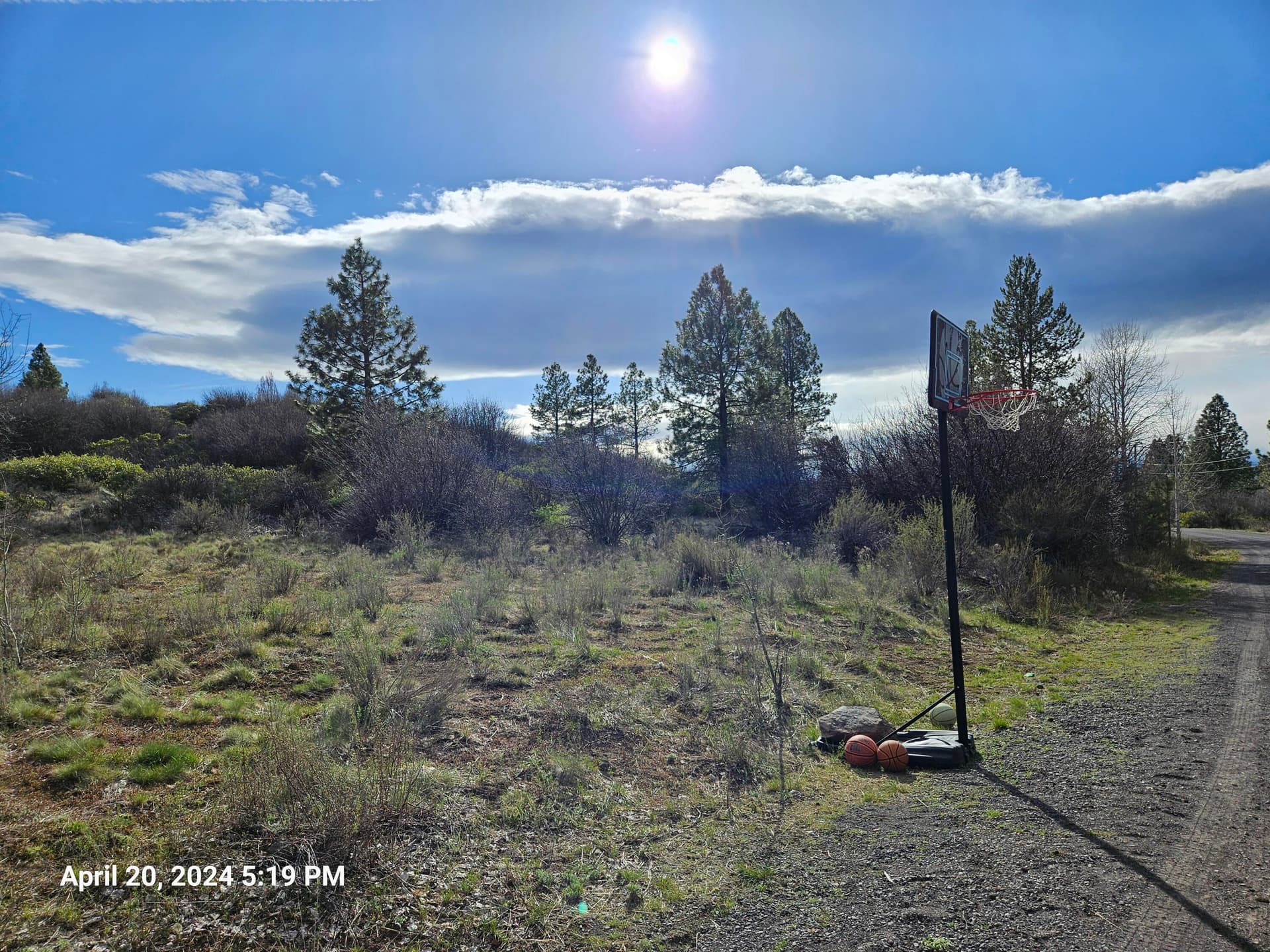 20240420_171952. Photo 1 of 8, 0 Forest View Drive Unit 8, Chiloquin, OR 97624