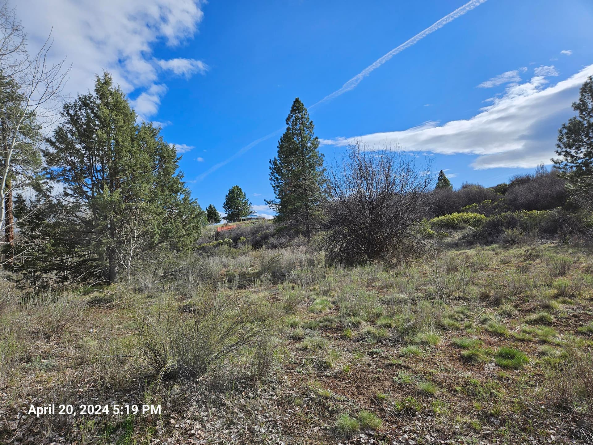 20240420_171956. Photo 3 of 8, 0 Forest View Drive Unit 8, Chiloquin, OR 97624