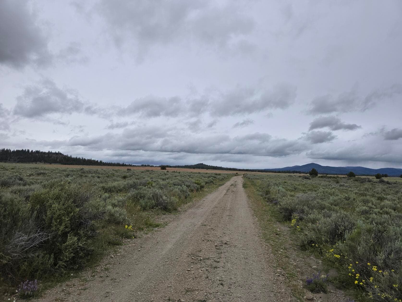 20250621_171042. Photo 4 of 7, 0 Tableland Road Unit 3800, Sprague River, OR 97639