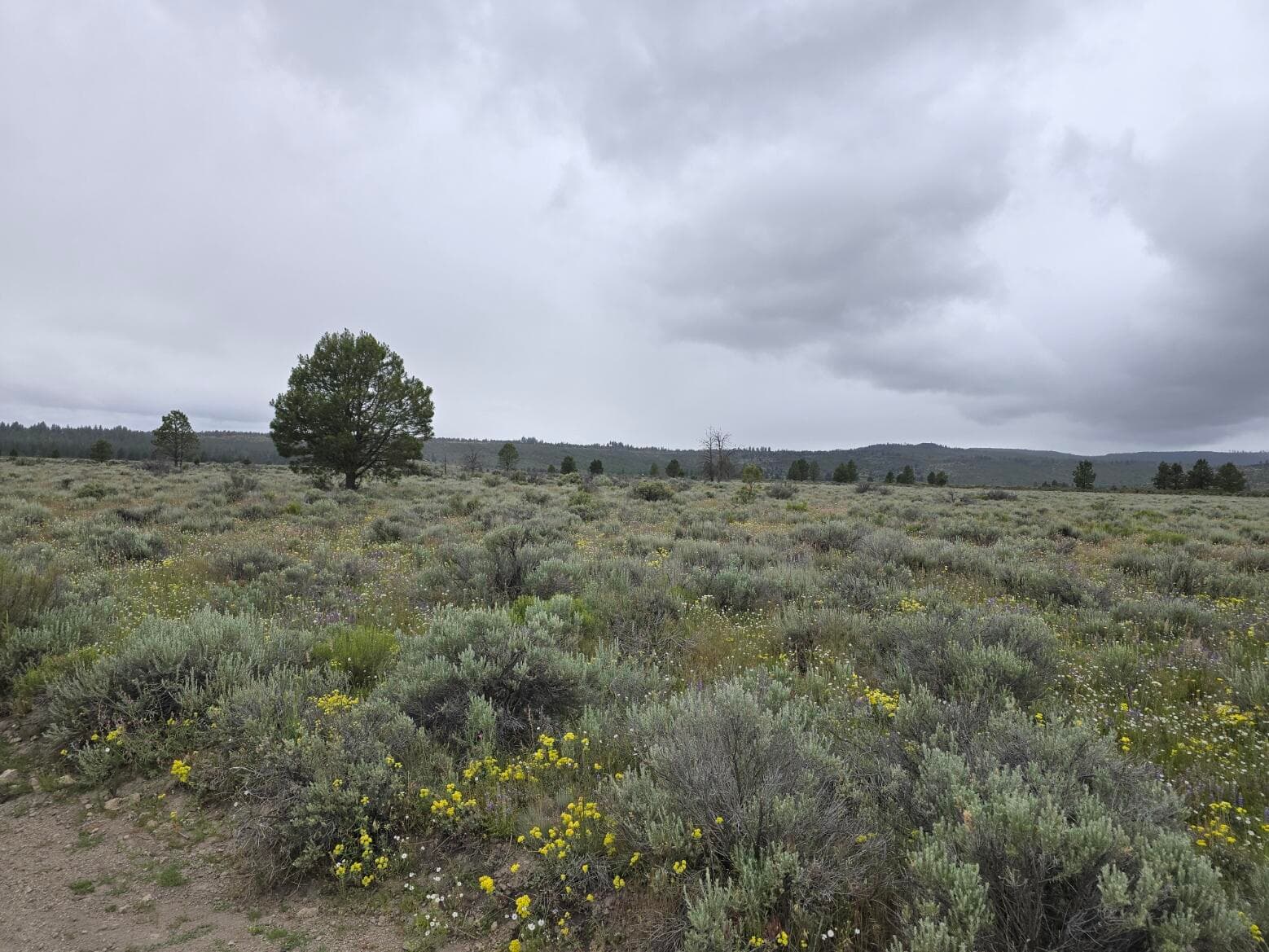 20250621_171049. Photo 2 of 7, 0 Tableland Road Unit 3800, Sprague River, OR 97639