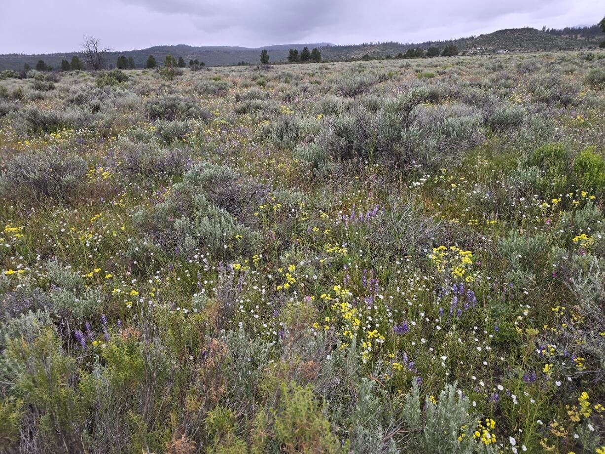 20250621_171059. Photo 3 of 7, 0 Tableland Road Unit 3800, Sprague River, OR 97639