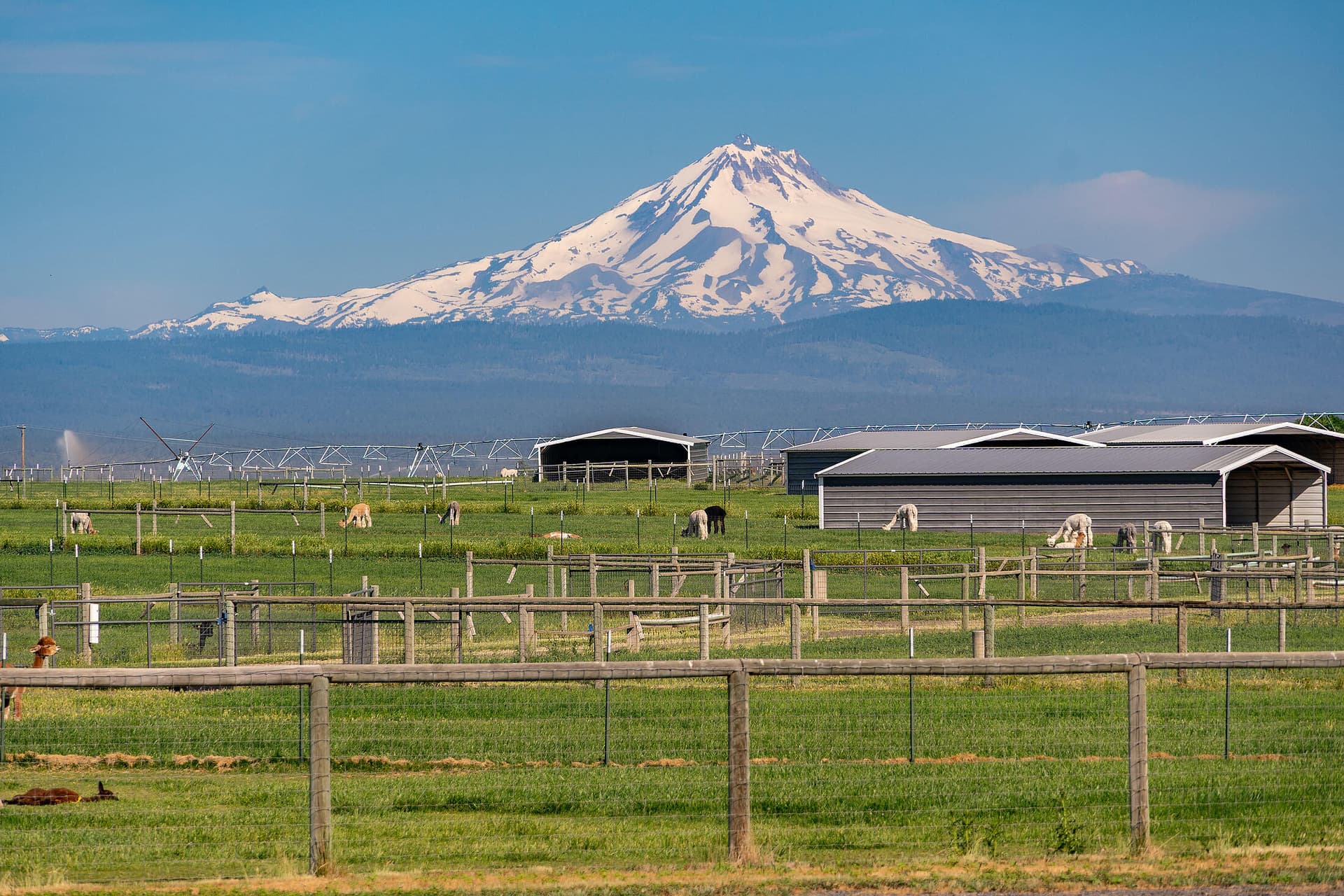 Shelters with veiw of mt jefferson orego. Photo 1 of 49, 12444 SW Green Drive, Culver, OR 97734