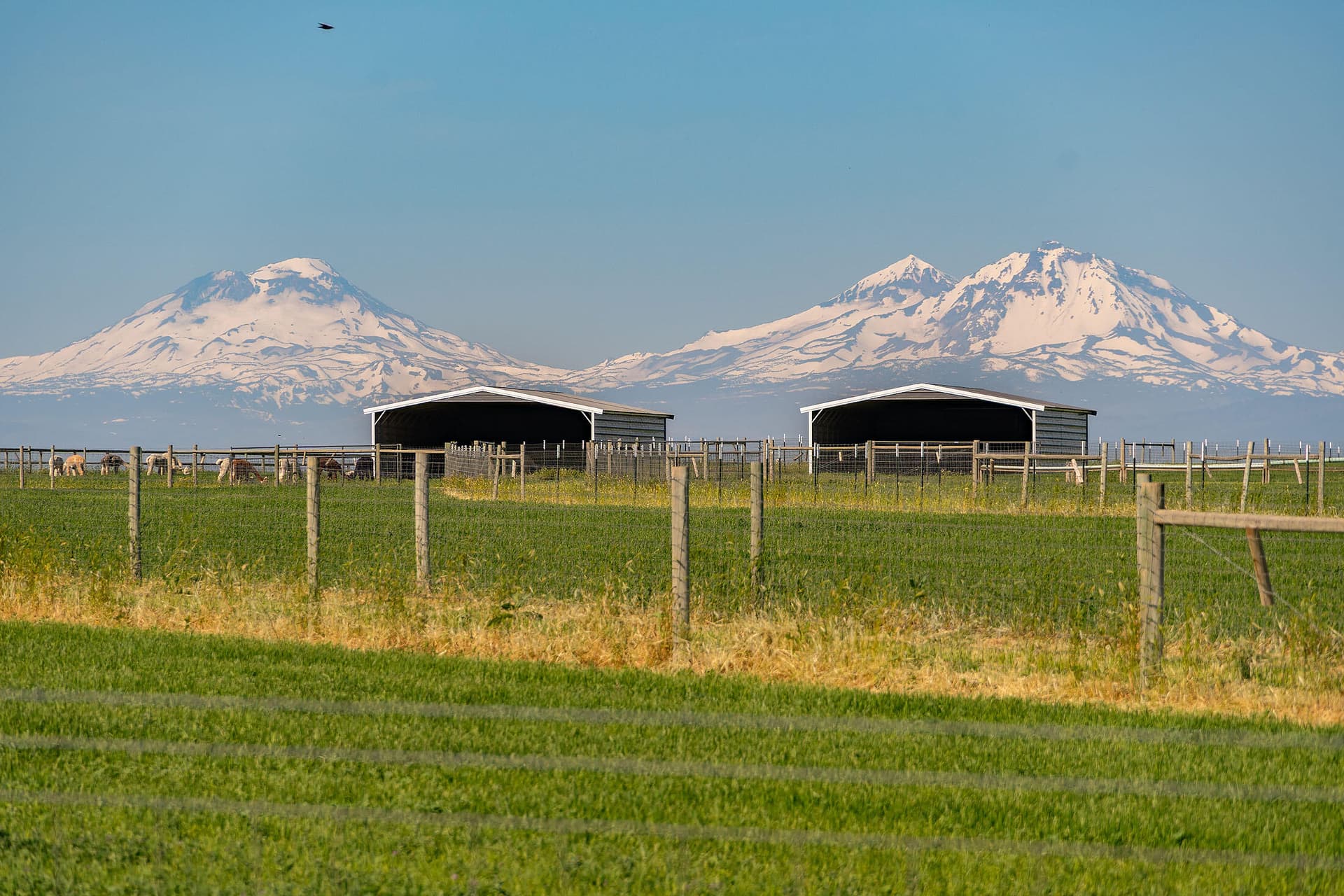 shelters with view of three sisters oreg. Photo 4 of 49, 12444 SW Green Drive, Culver, OR 97734