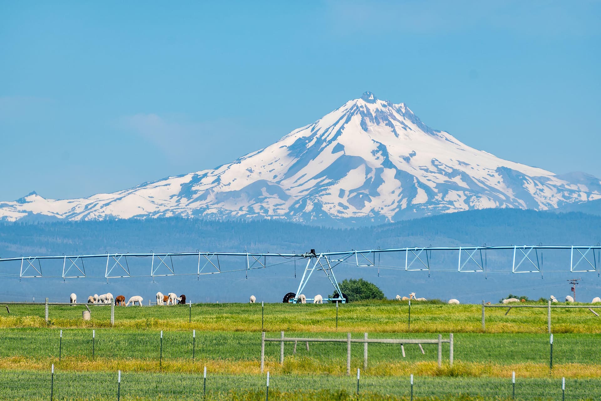 water line mt jefferson oregon mountain. Photo 3 of 49, 12444 SW Green Drive, Culver, OR 97734