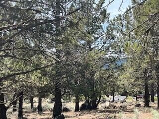 1211-3. Photo 3 of 9, Fox Sparrow Unit Lot  1211, Klamath Falls, OR 97601