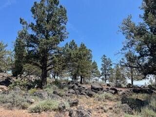 1211-4. Photo 4 of 9, Fox Sparrow Unit Lot  1211, Klamath Falls, OR 97601