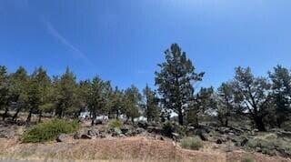1211-5. Photo 5 of 9, Fox Sparrow Unit Lot  1211, Klamath Falls, OR 97601