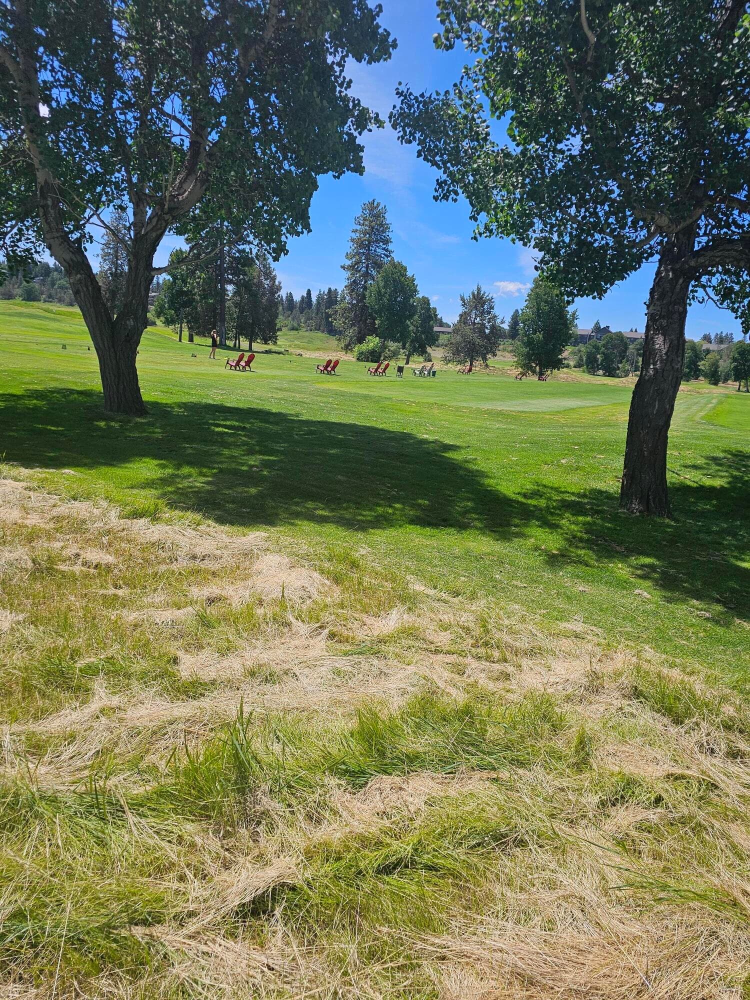 20250626_120916. Photo 3 of 16, 10697 Merganser Road Unit 62, Klamath Falls, OR 97601