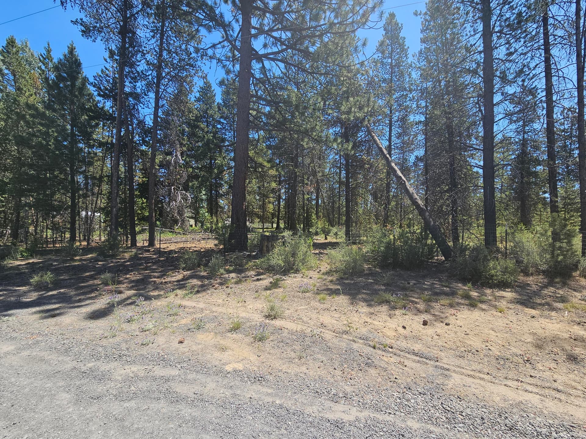 20250630_124822. Photo 2 of 6, 500 Ahern Drive Unit 500, La Pine, OR 97739