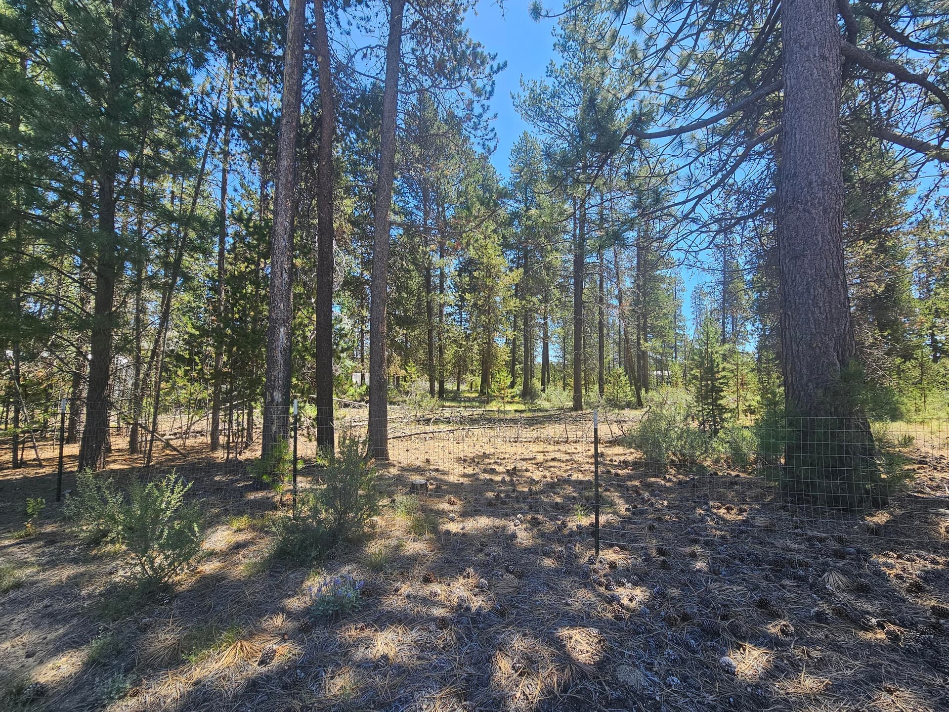 20250630_124836. Photo 3 of 6, 500 Ahern Drive Unit 500, La Pine, OR 97739