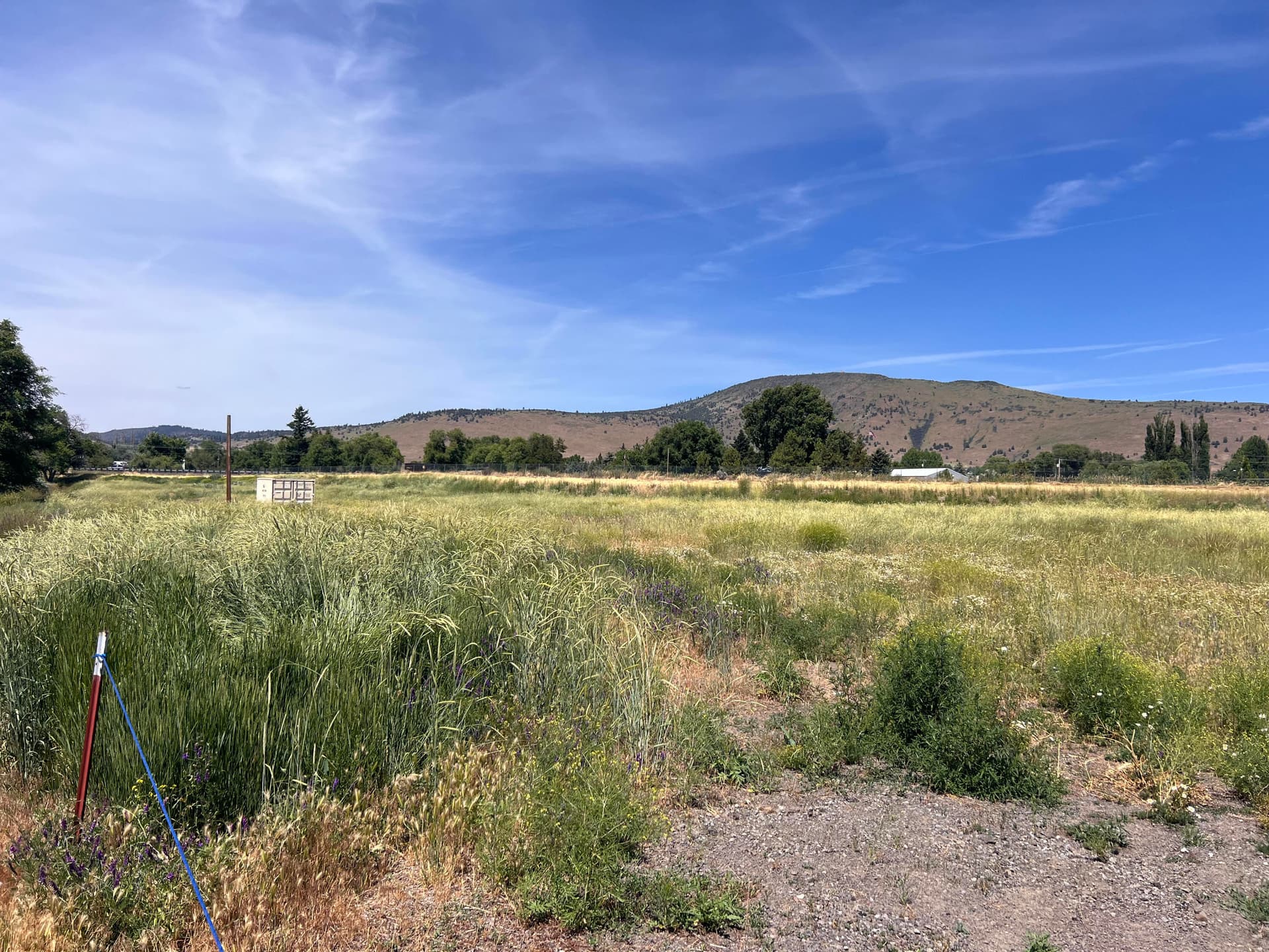 Lot. Photo 3 of 7, 00 Crest Street, Klamath Falls, OR 97603