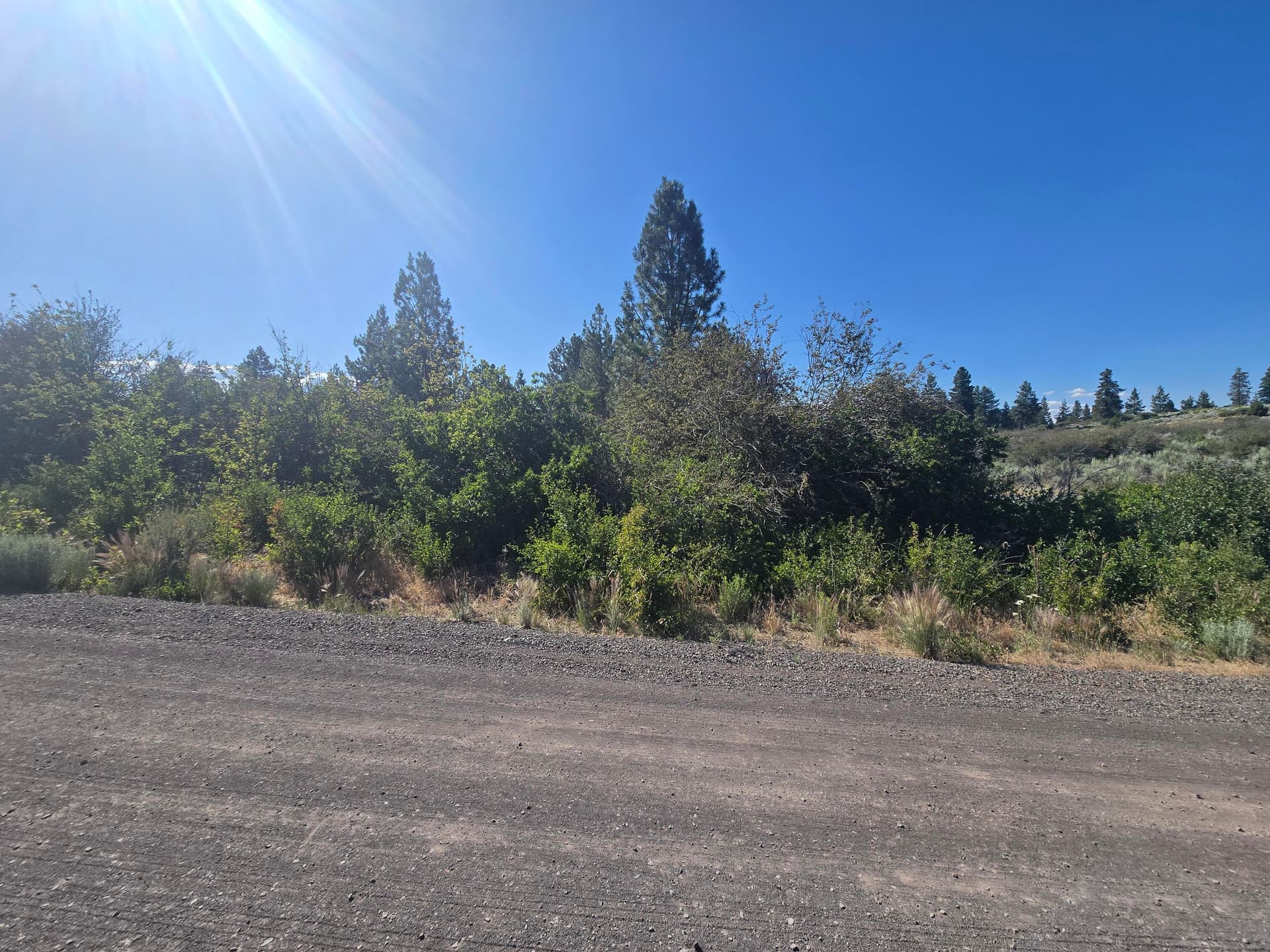 lot. Photo 2 of 5, Wrightwood Unit Lot 28, Chiloquin, OR 97624