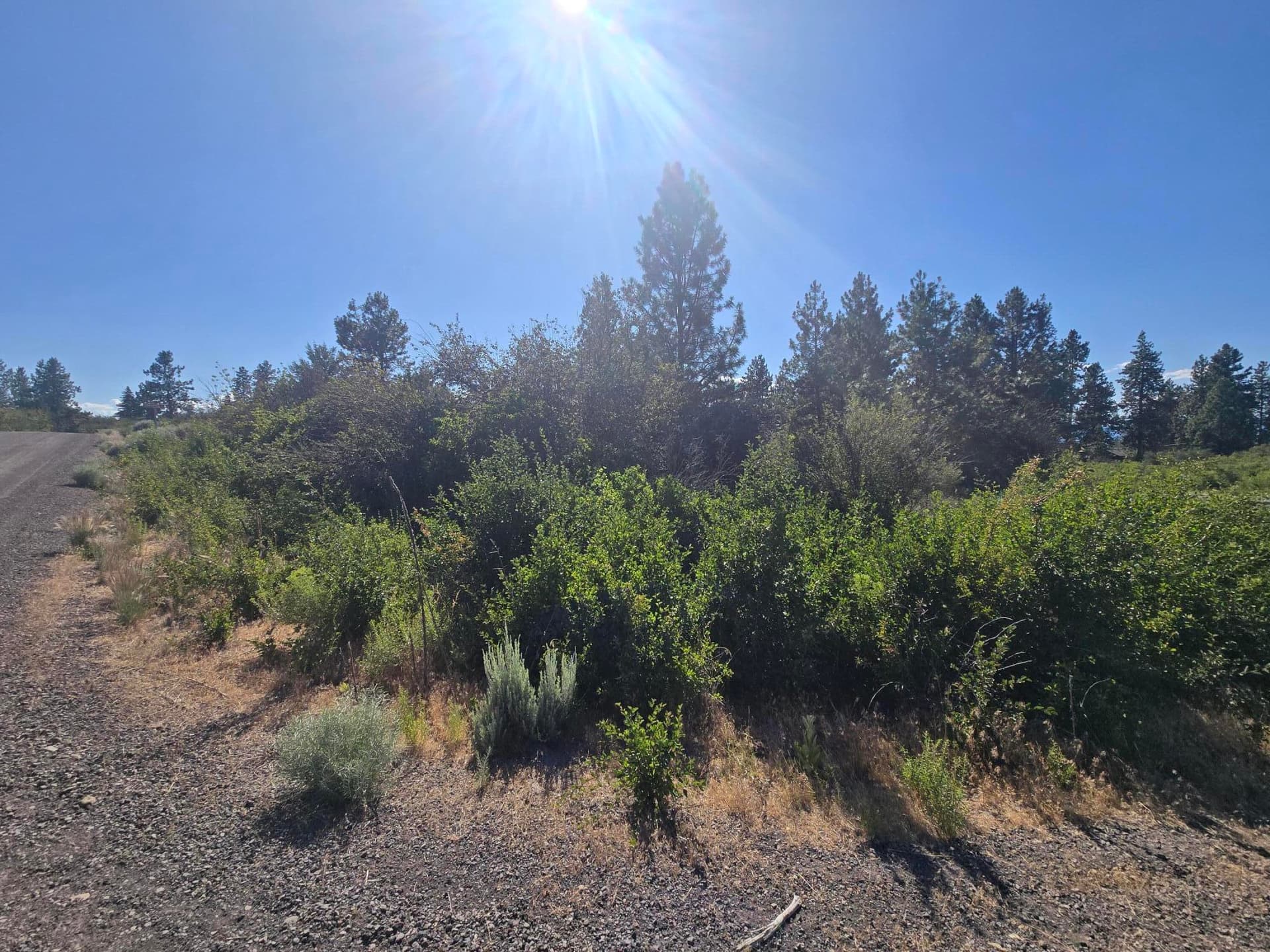 lot. Photo 3 of 5, Wrightwood Unit Lot 28, Chiloquin, OR 97624
