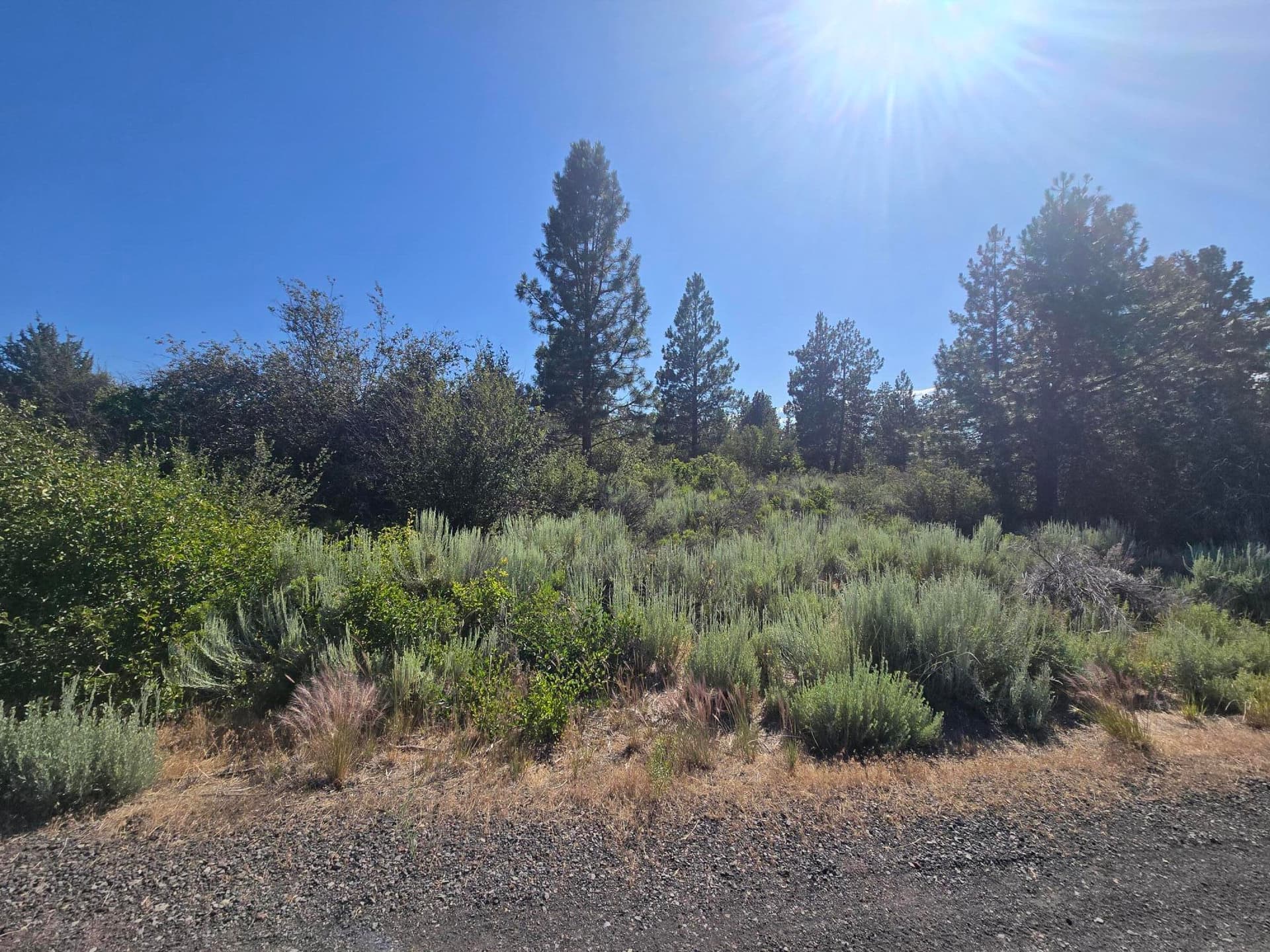 lot. Photo 4 of 5, Wrightwood Unit Lot 28, Chiloquin, OR 97624