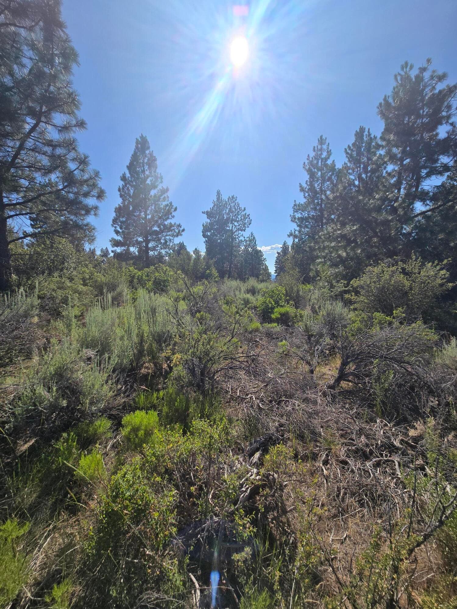 lot. Photo 5 of 5, Wrightwood Unit Lot 28, Chiloquin, OR 97624