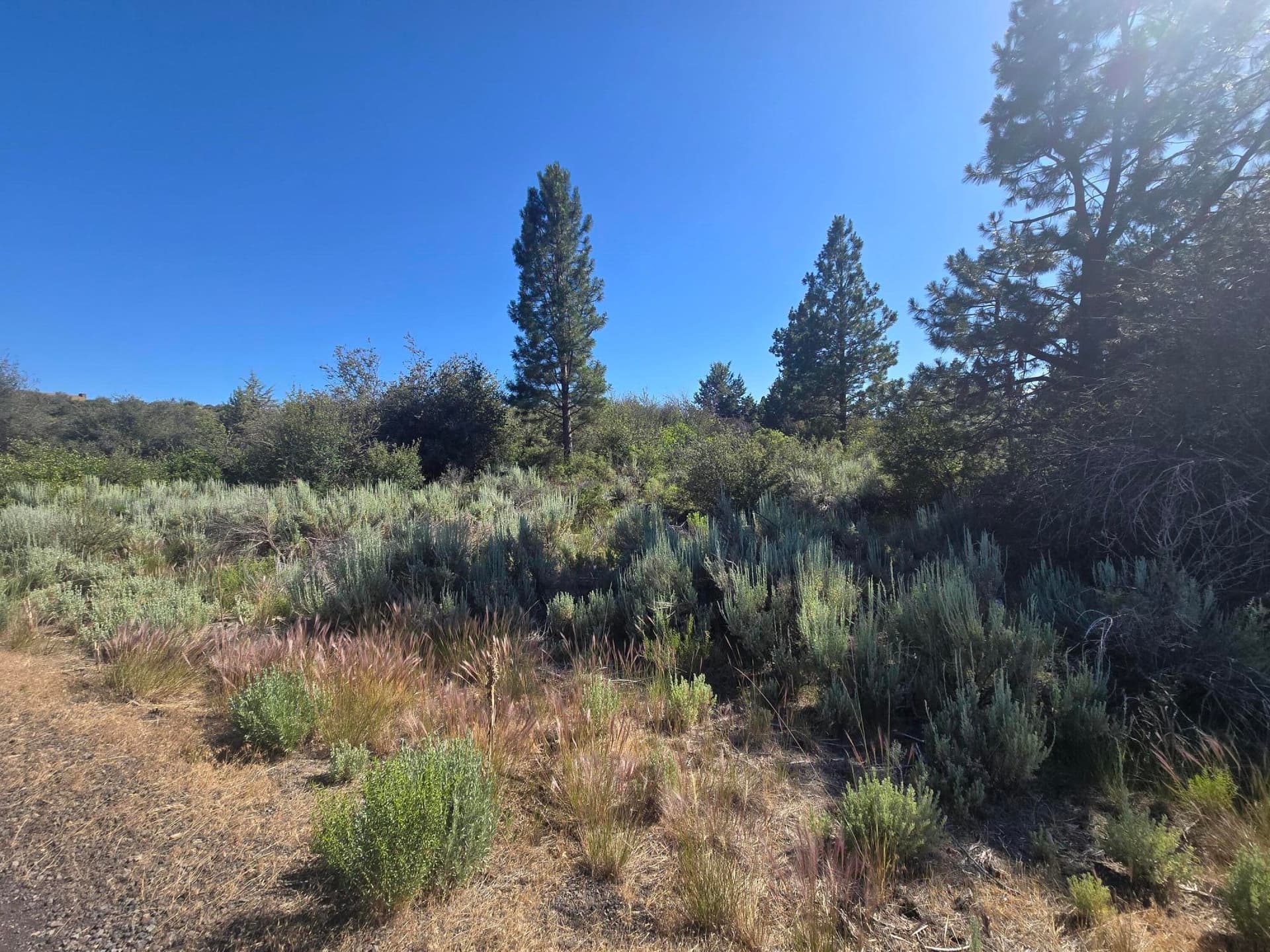 lot. Photo 1 of 5, Wrightwood Unit Lot 28, Chiloquin, OR 97624