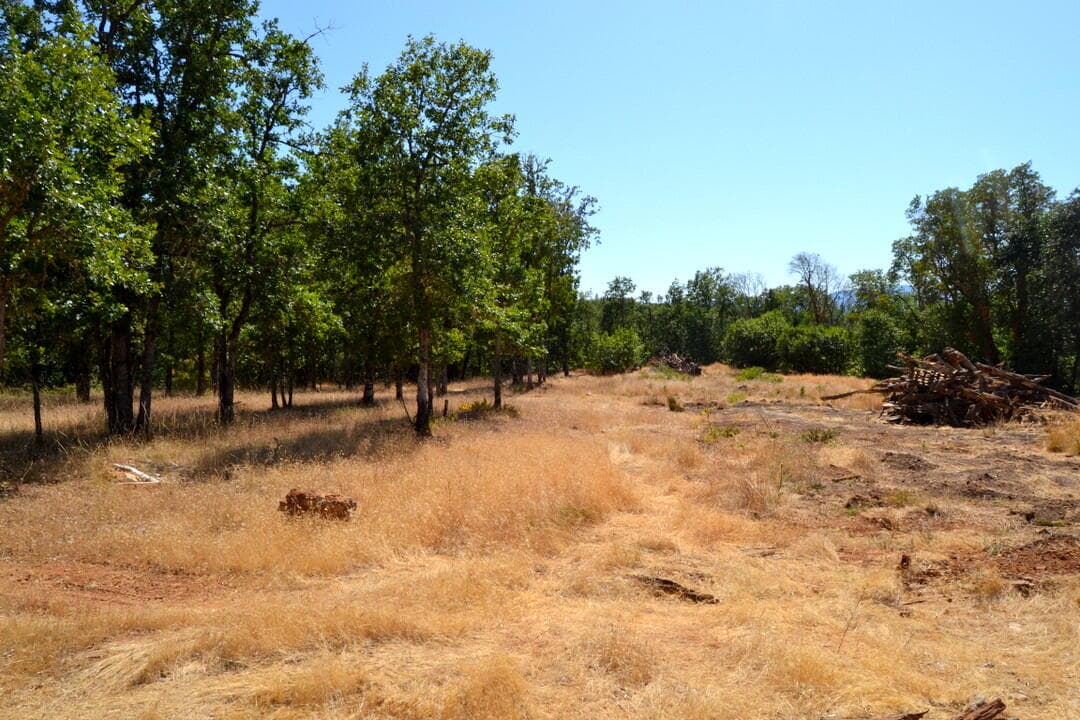 DSC_5783. Photo 3 of 6, 779 Harris Road, Grants Pass, OR 97526