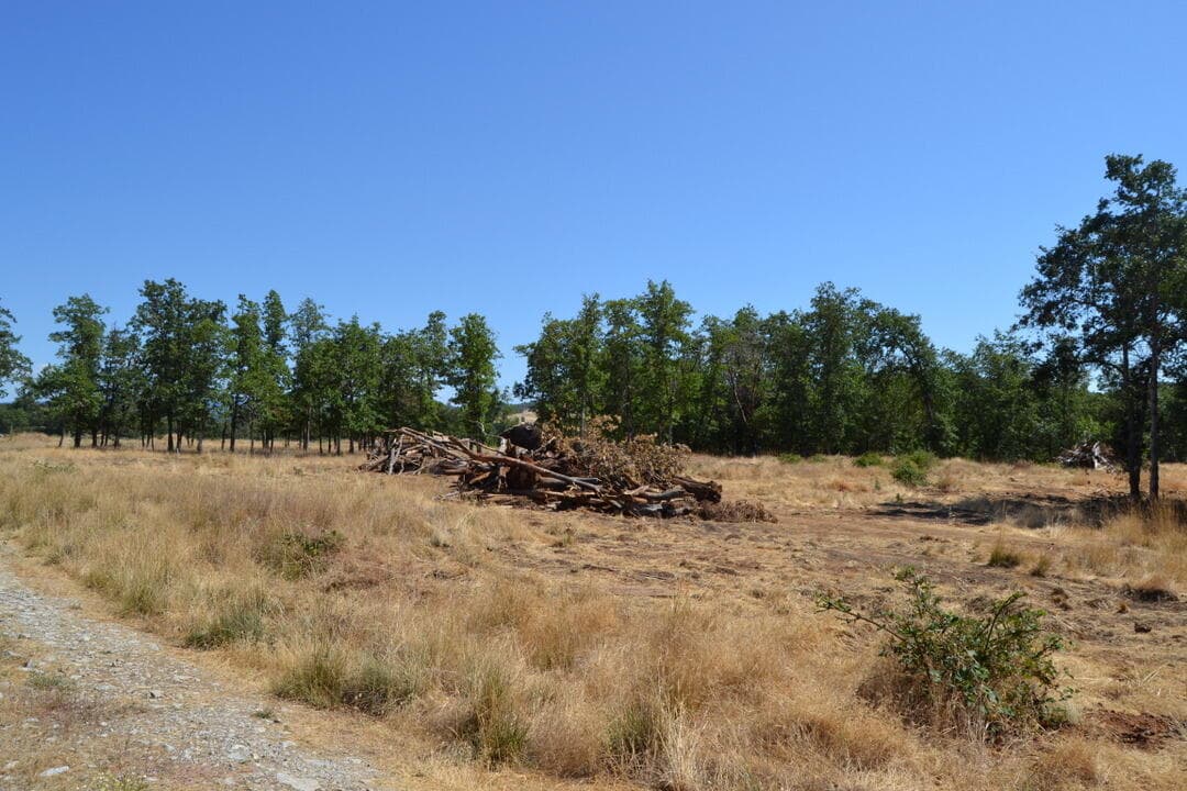 DSC_5786. Photo 5 of 6, 779 Harris Road, Grants Pass, OR 97526