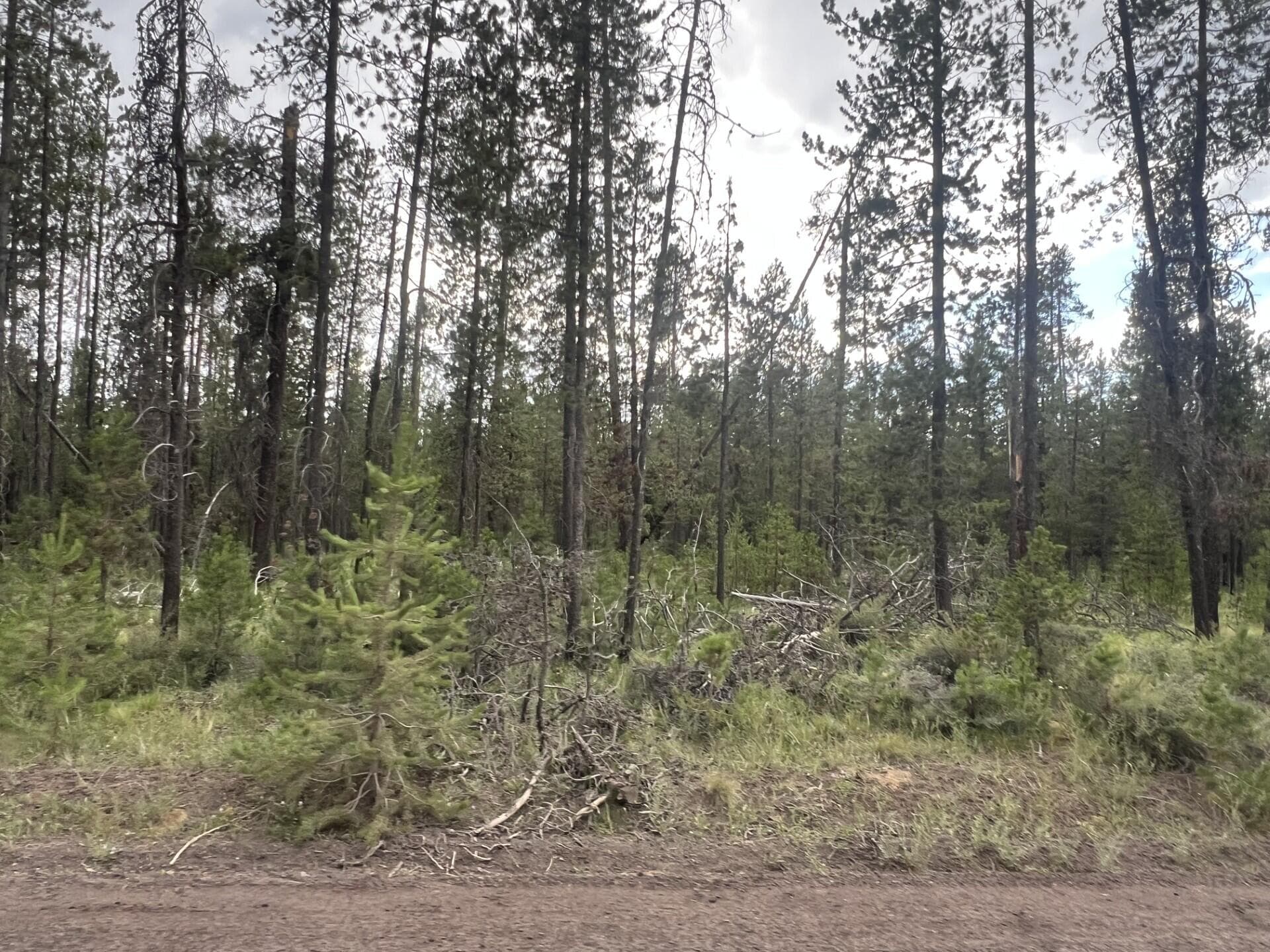 thumbnail_IMG_5990. Photo 5 of 6, 55970 Browning Drive, Bend, OR 97707