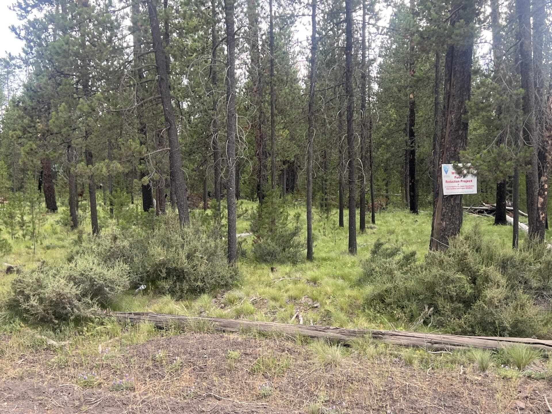 thumbnail_IMG_5994. Photo 3 of 5, 55975 Savage Drive, Bend, OR 97707