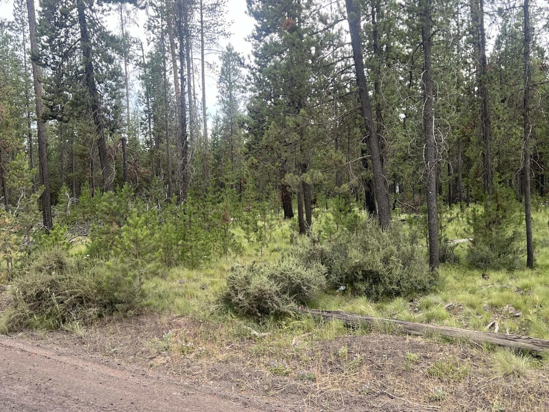 thumbnail_IMG_5995. Photo 2 of 5, 55975 Savage Drive, Bend, OR 97707