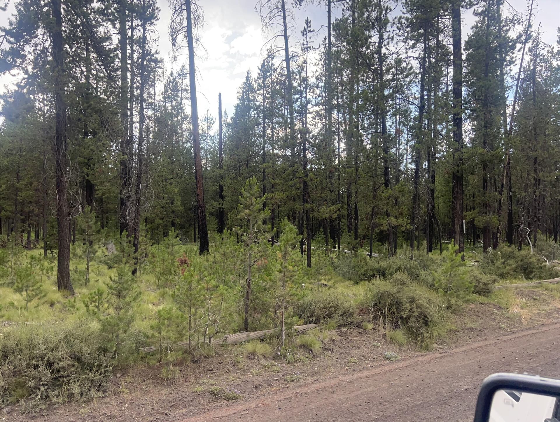 thumbnail_IMG_5992. Photo 4 of 5, 55975 Savage Drive, Bend, OR 97707