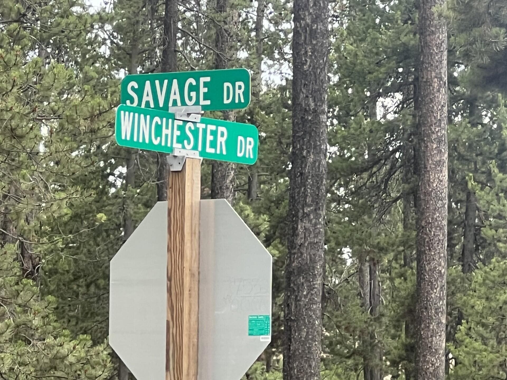 thumbnail_IMG_5993. Photo 5 of 5, 55975 Savage Drive, Bend, OR 97707