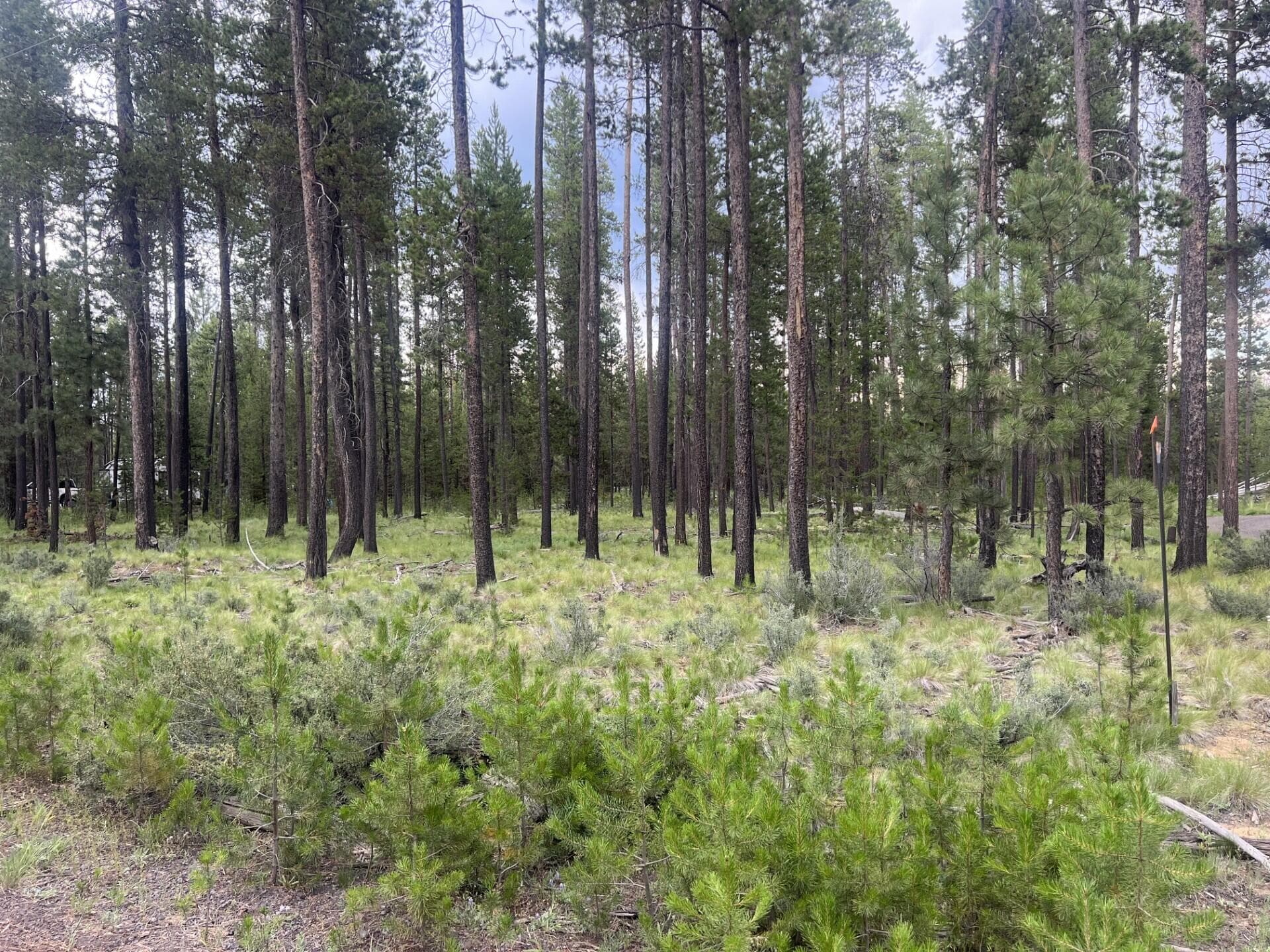 Dresley 1. Photo 3 of 6, 55970 Browning Drive, Bend, OR 97707