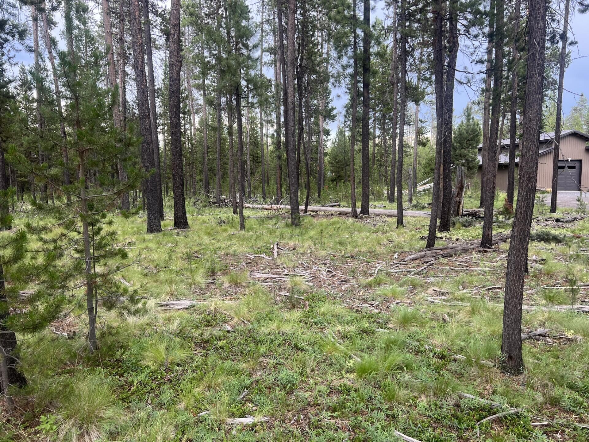 Dresley 3. Photo 2 of 6, 55970 Browning Drive, Bend, OR 97707
