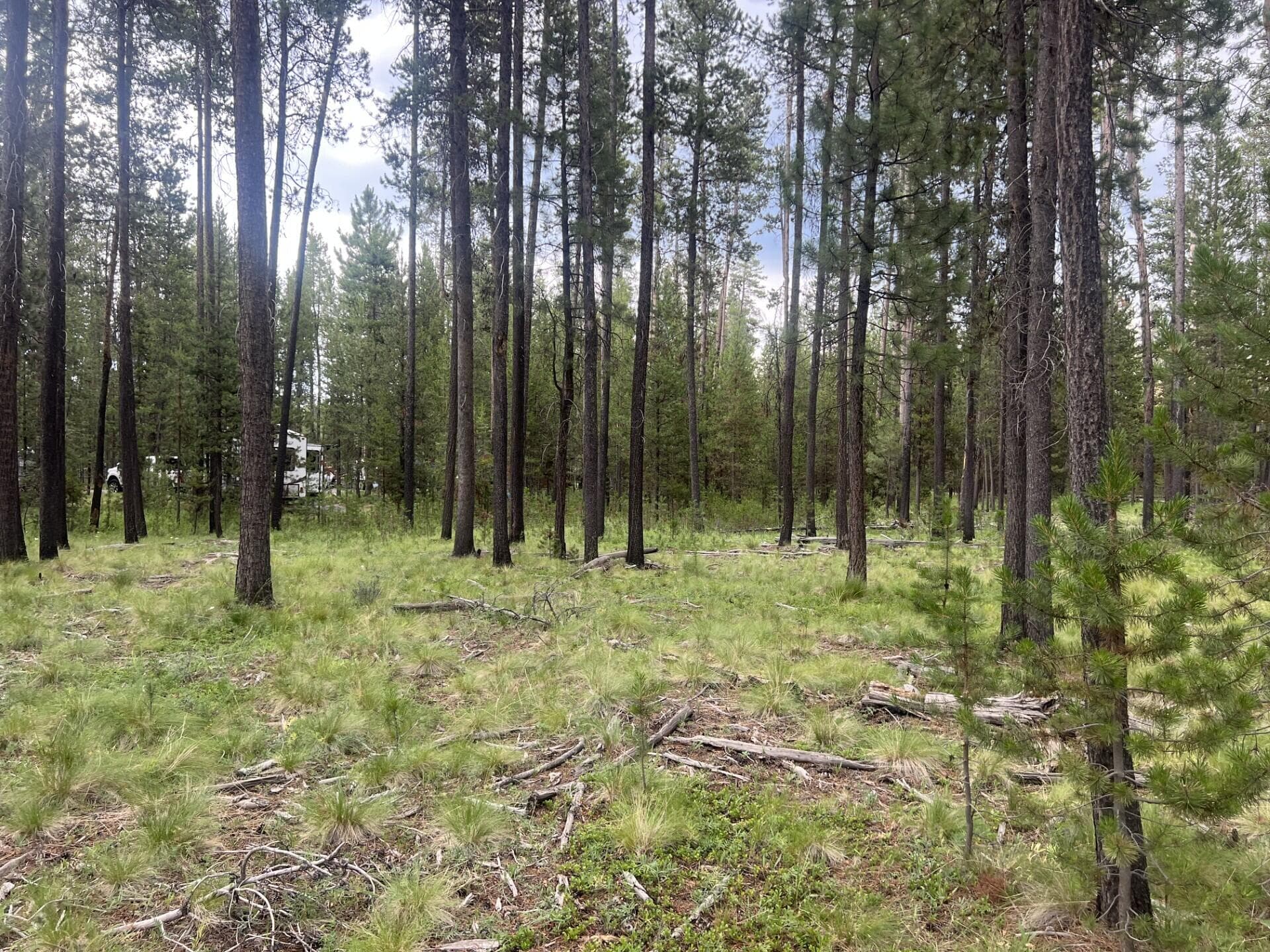 Dresley 6. Photo 1 of 5, 55975 Savage Drive, Bend, OR 97707
