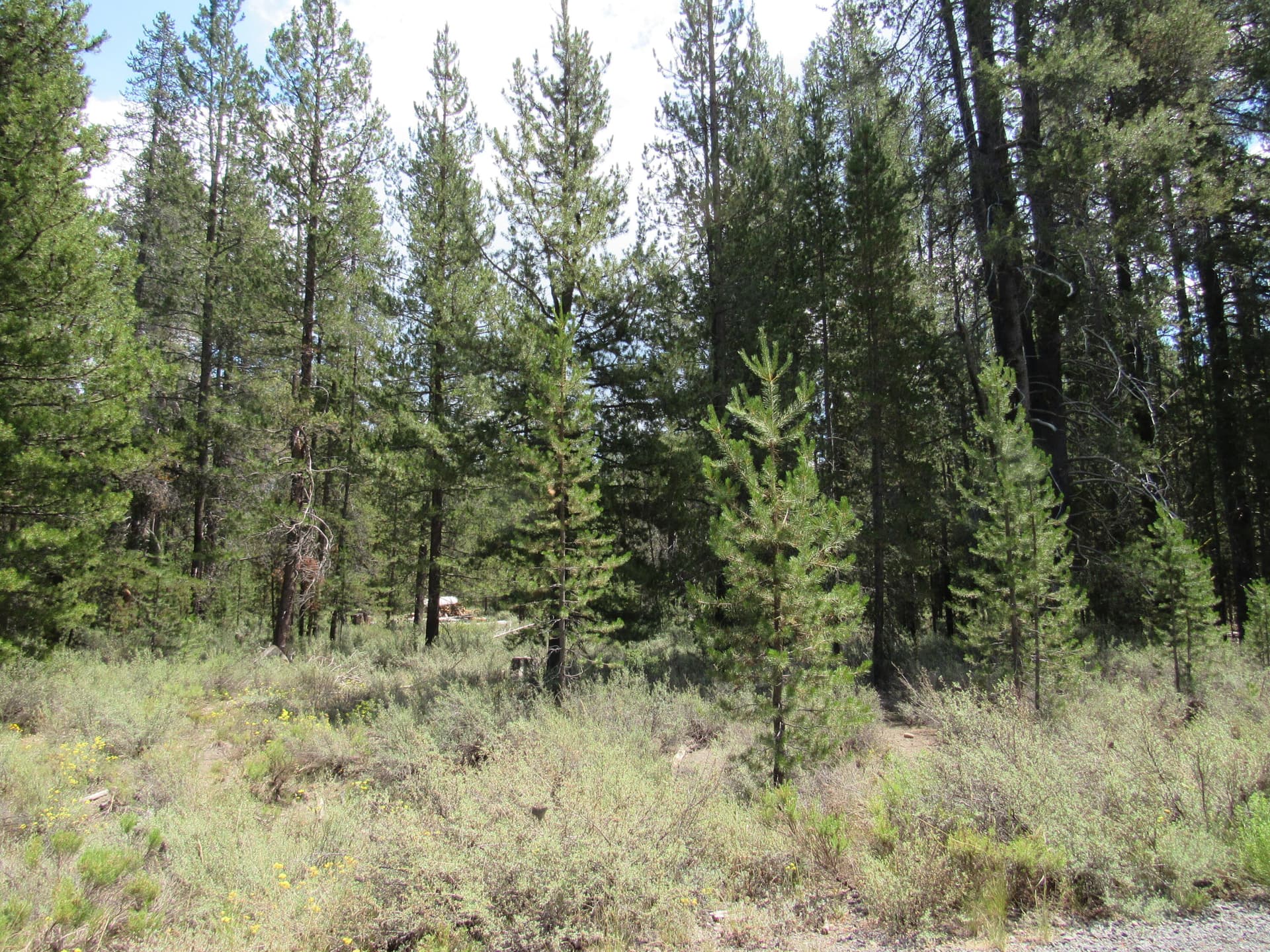 IMG_3087. Photo 5 of 19, 72915 Sun Mountain Road, Chiloquin, OR 97624