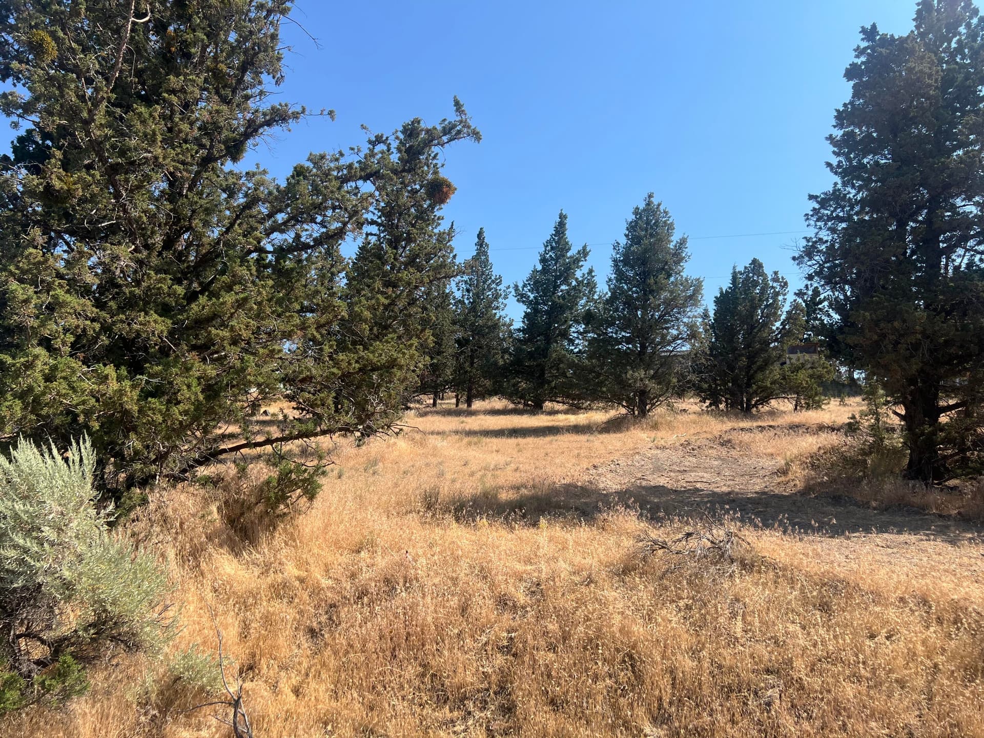 IMG_3981. Photo 3 of 6, 11480 NW Lister Avenue, Prineville, OR 97754