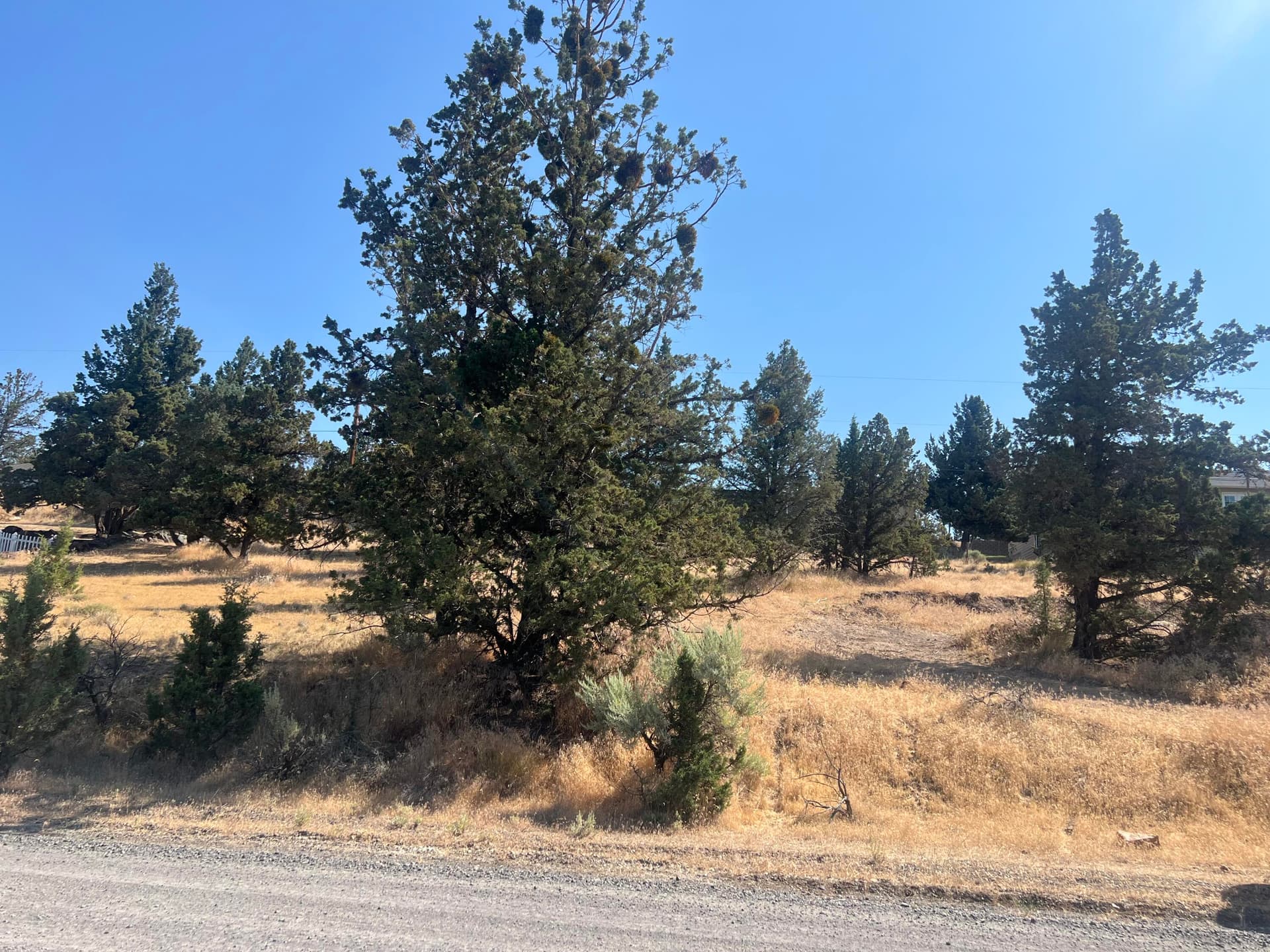 IMG_3970. Photo 2 of 6, 11480 NW Lister Avenue, Prineville, OR 97754