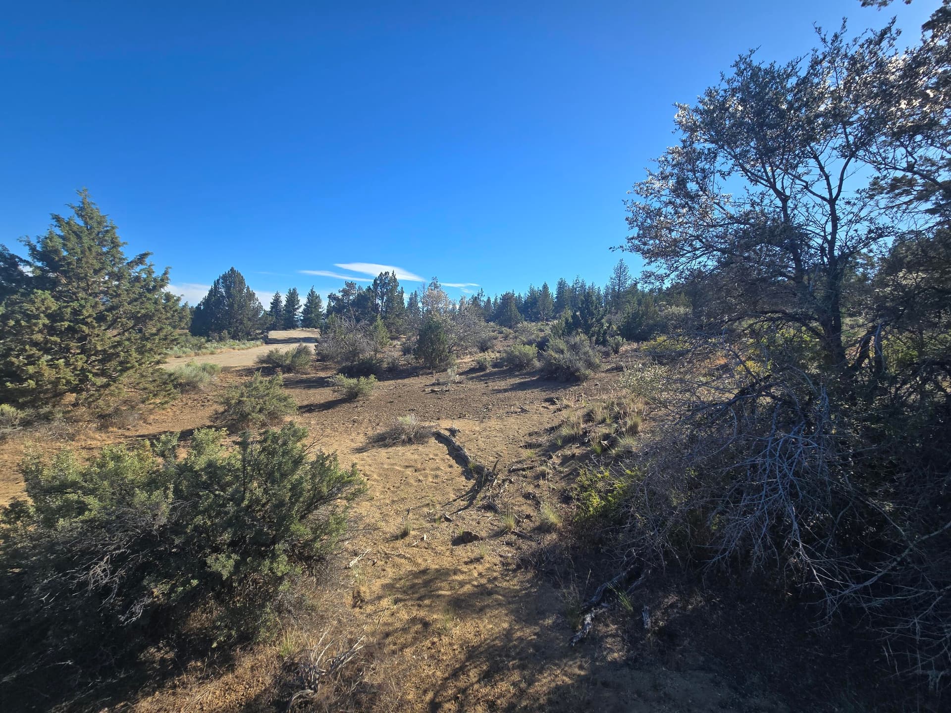 Lot. Photo 3 of 16, 0 Sprague River Drive Unit Lot 38, Sprague River, OR 97639