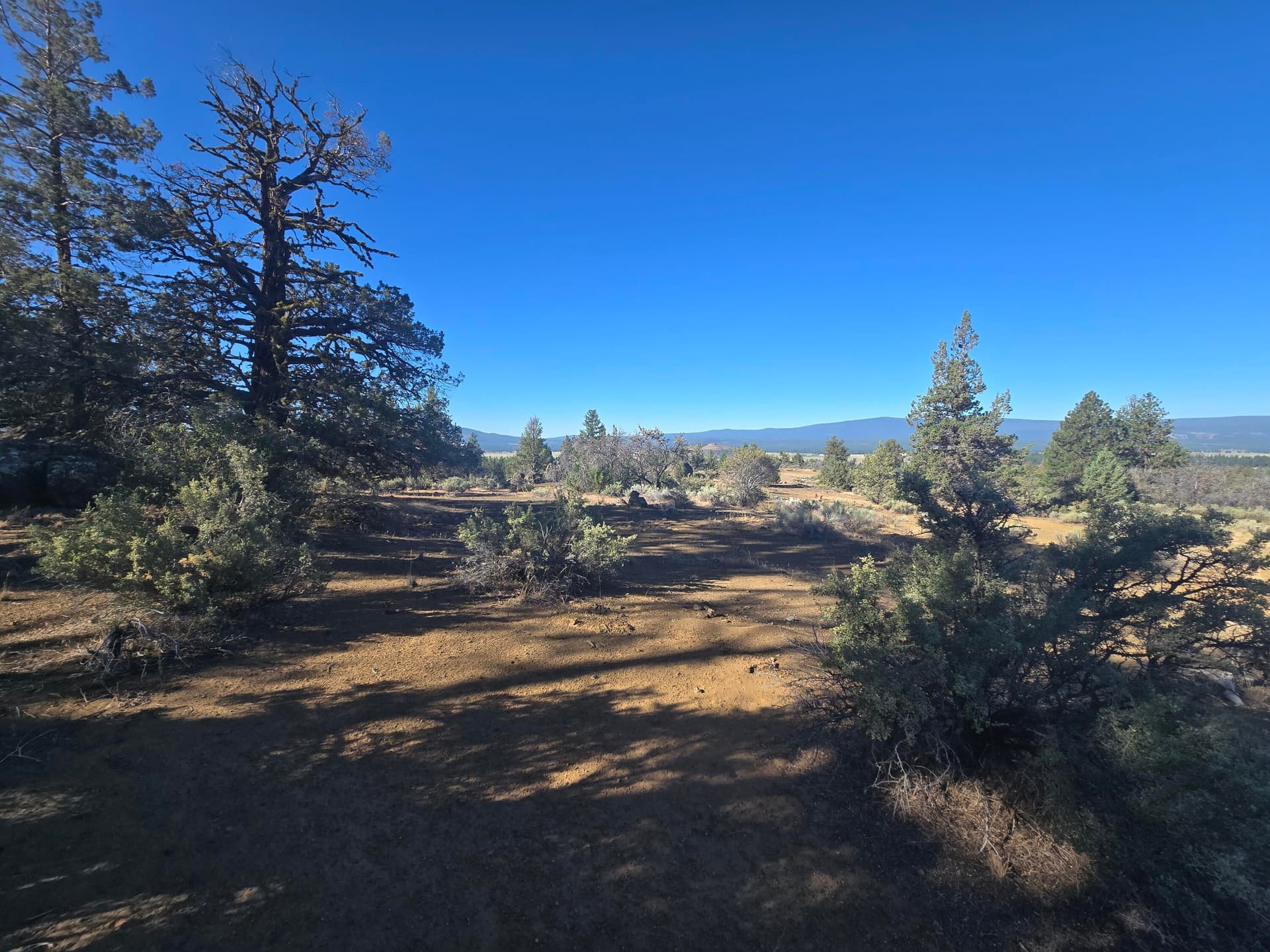 Lot. Photo 4 of 16, 0 Sprague River Drive Unit Lot 38, Sprague River, OR 97639