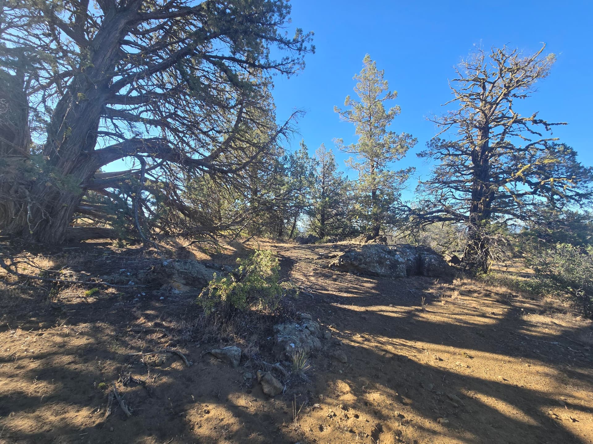 Lot. Photo 5 of 16, 0 Sprague River Drive Unit Lot 38, Sprague River, OR 97639
