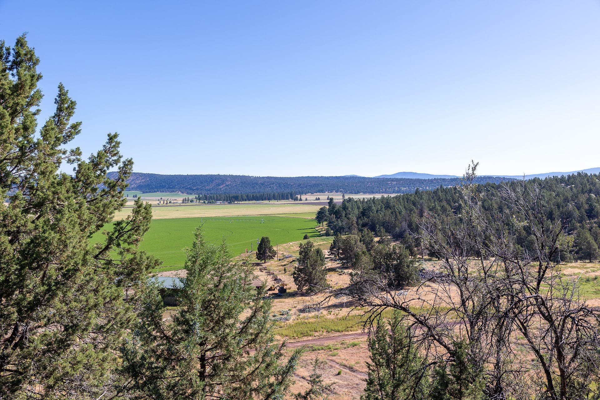335A5283. Photo 4 of 121, 18598 Highway 140, Dairy, OR 97625